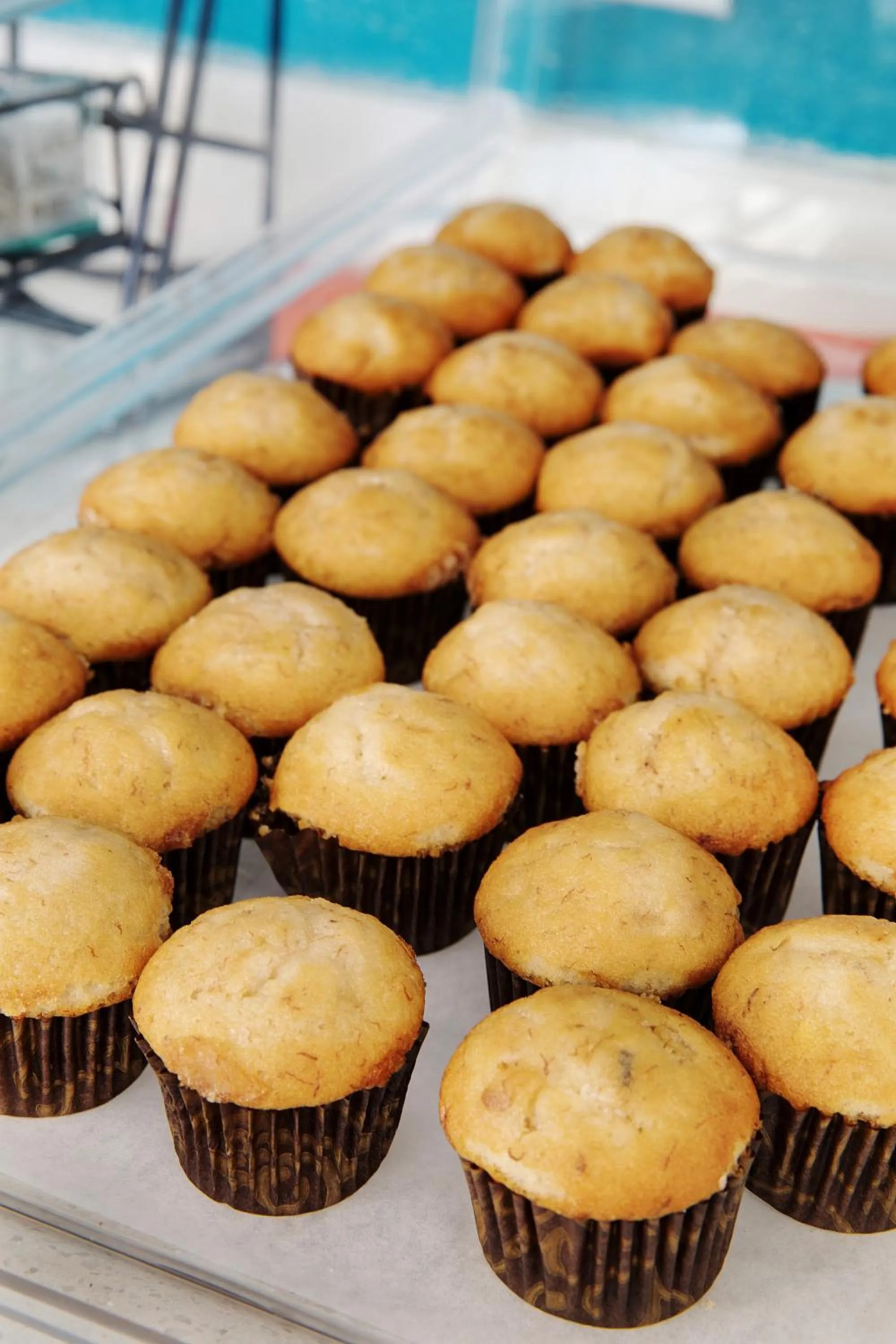 Food and drinks in Plantation Suites and Conference Center
