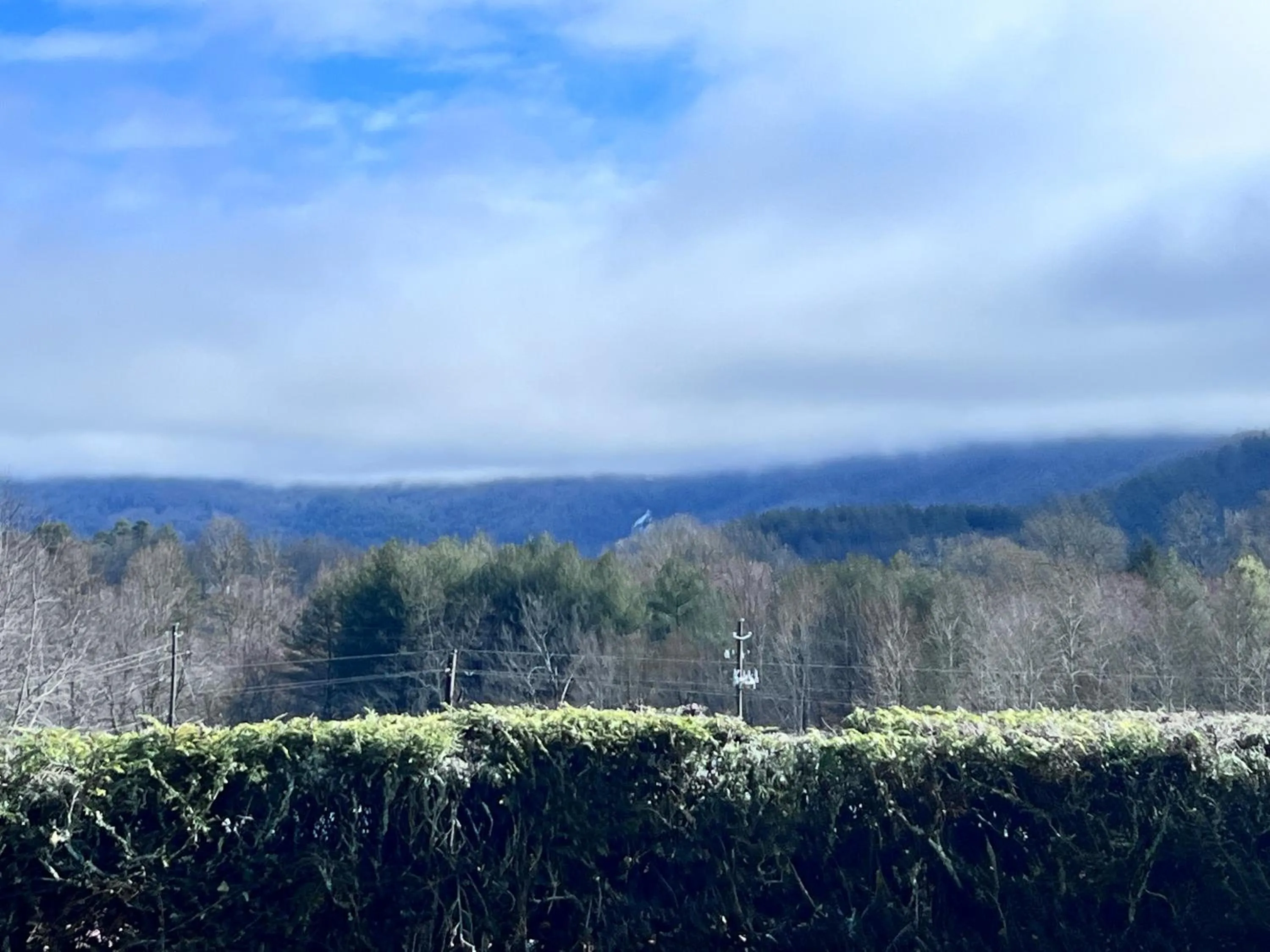 View (from property/room), Winter in Knights Inn Dillard