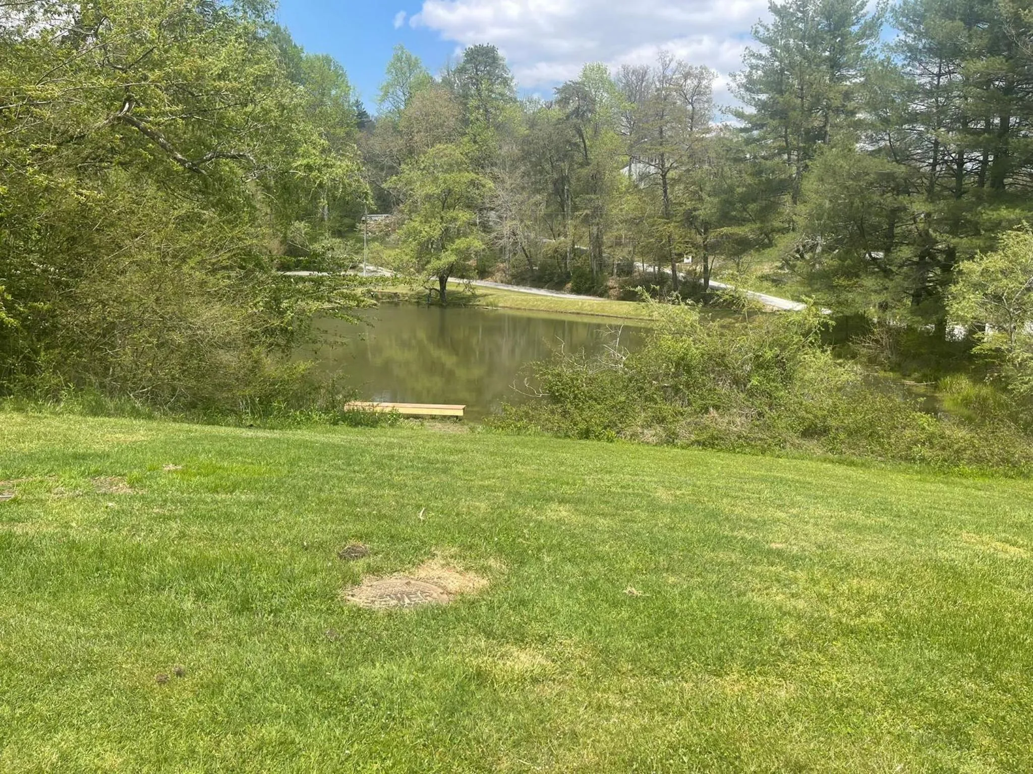 Garden in Knights Inn Dillard