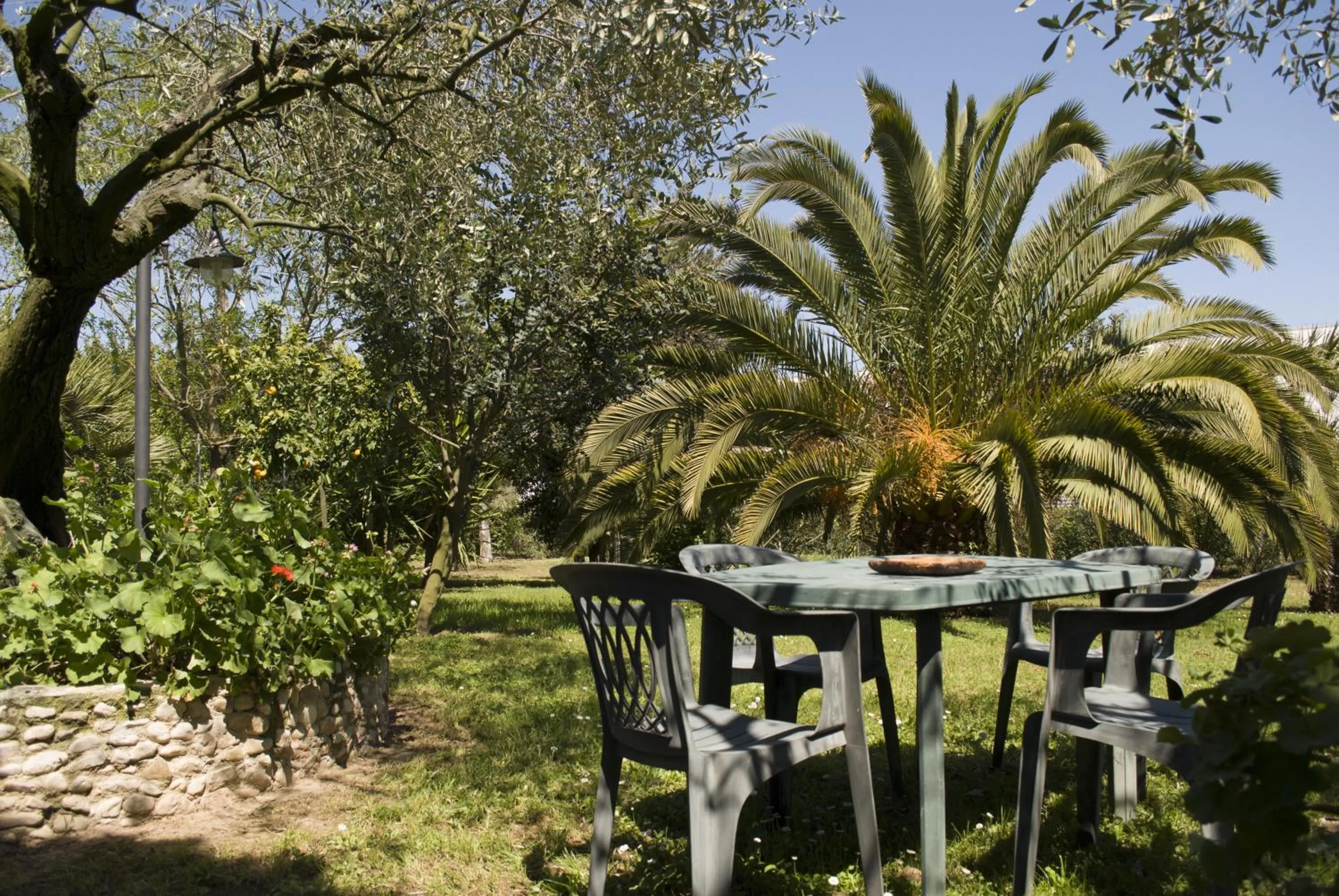 Garden in Il Boschetto