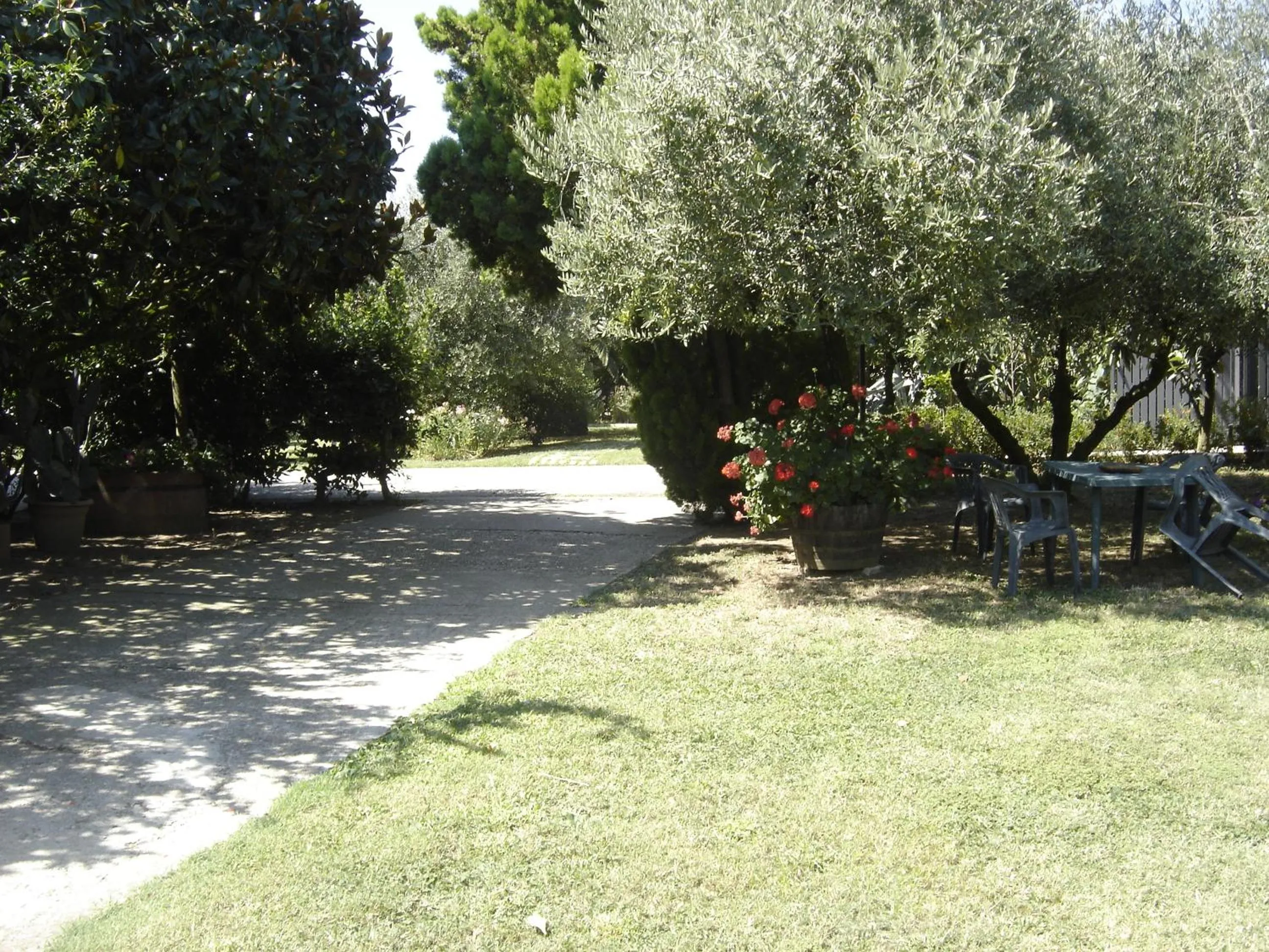 Garden in Il Boschetto