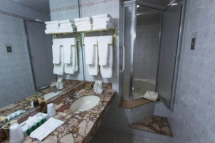 Bathroom in The Avenue Plaza