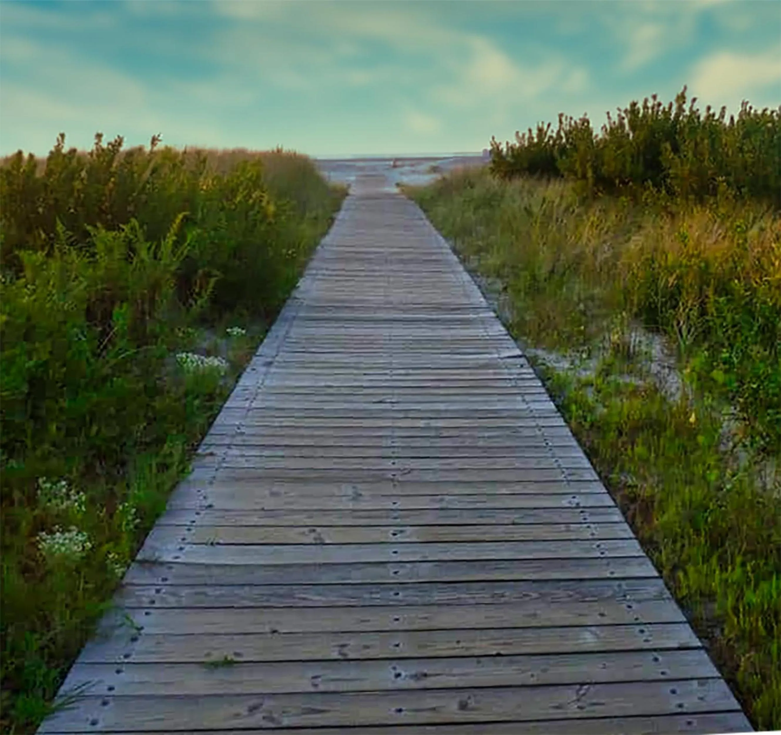 Natural landscape in Acacia Beachfront Resort