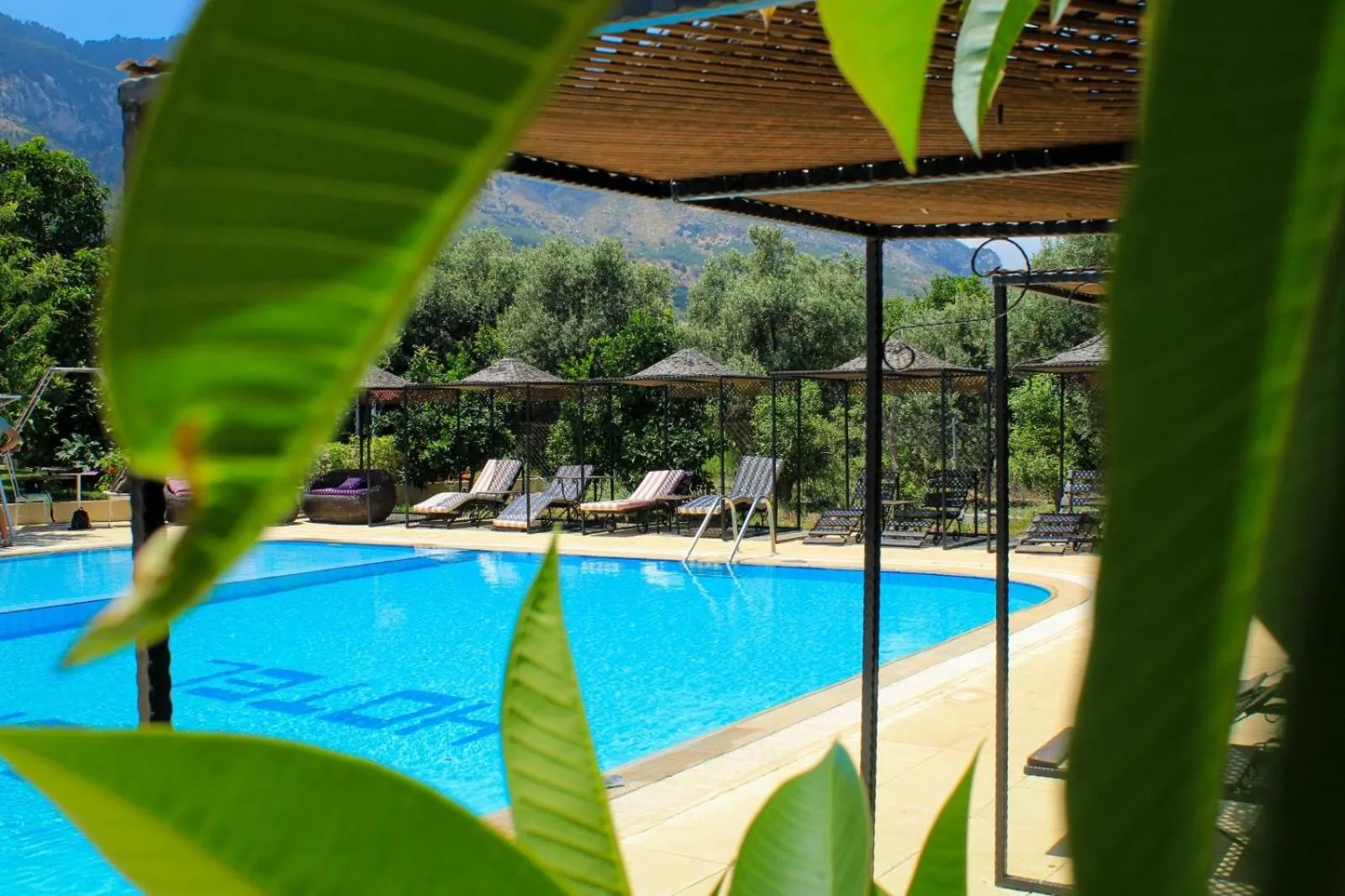 Pool view in Lapida Garden