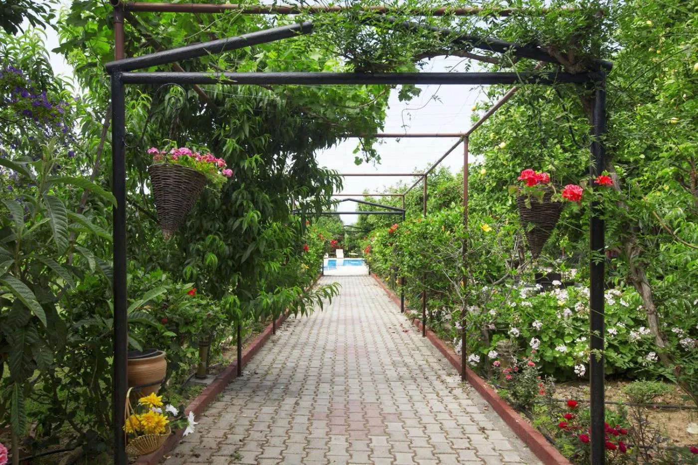 Garden in Lapida Garden