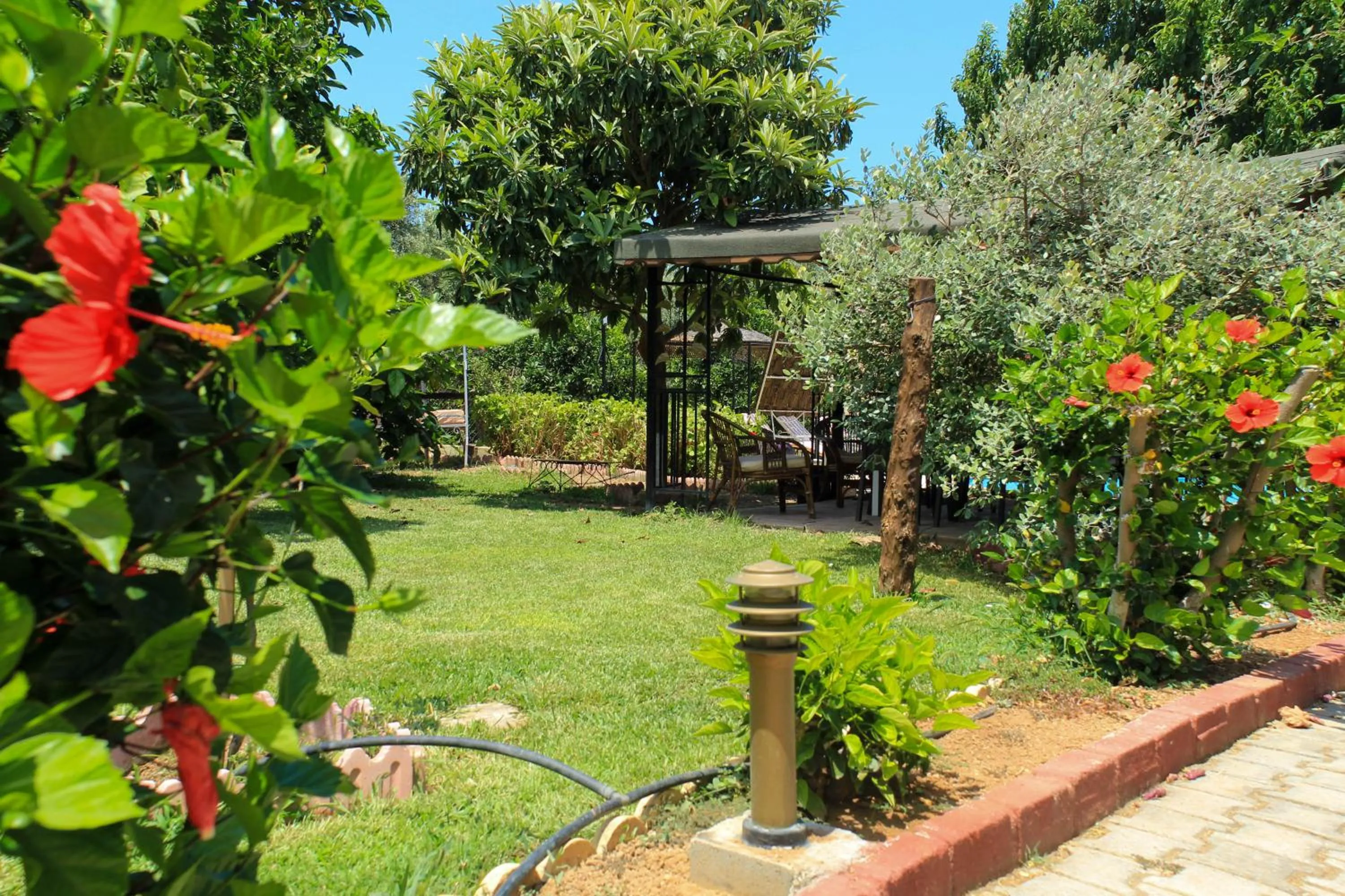 Garden in Lapida Garden