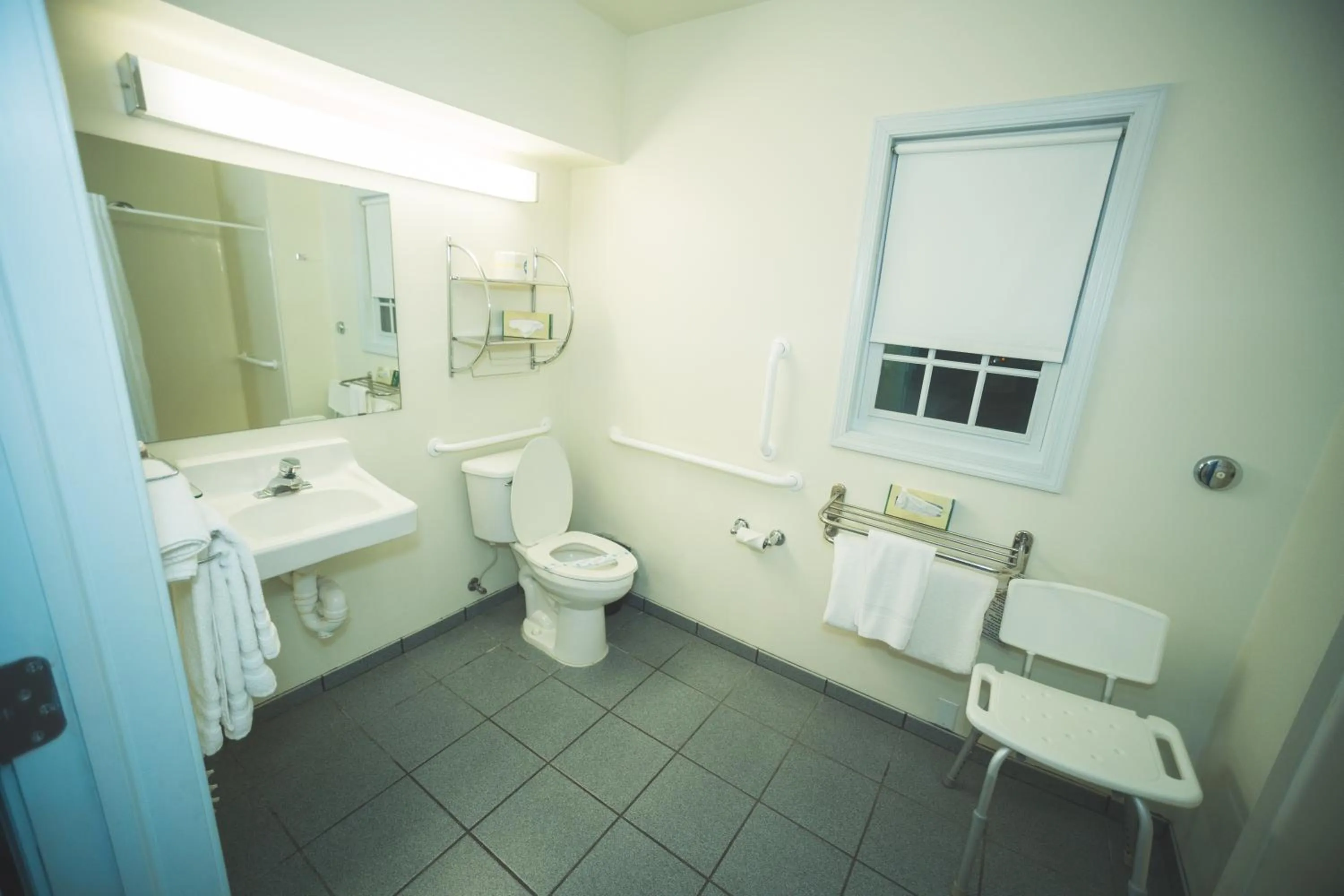 Toilet in The Chalet Motel