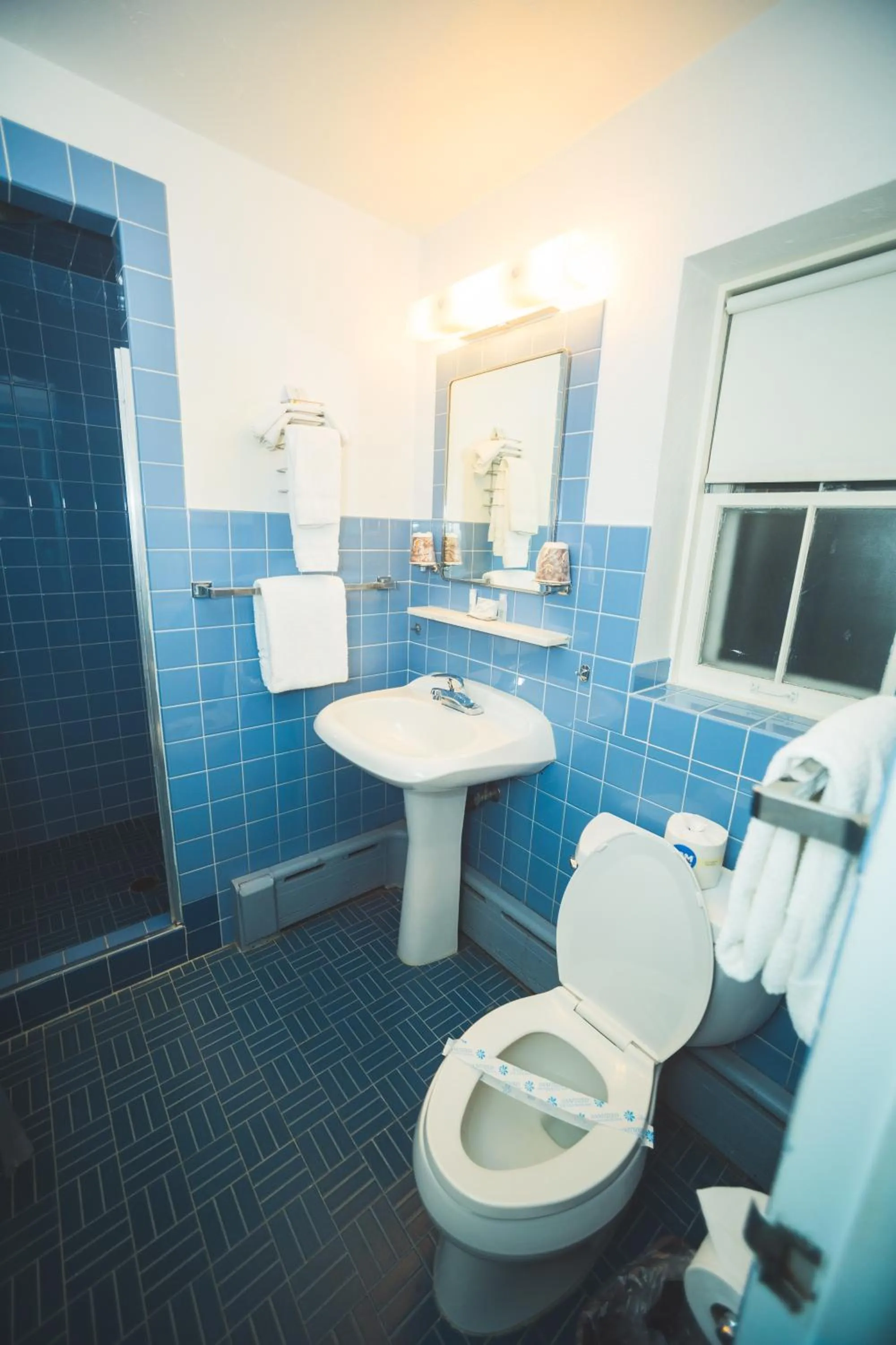 Toilet in The Chalet Motel