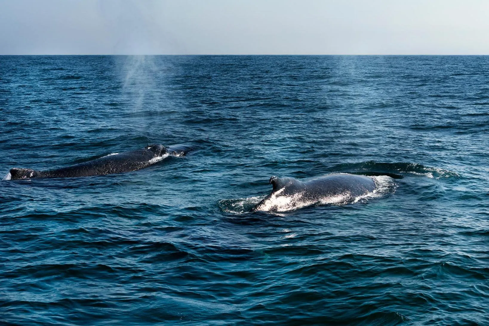 Natural landscape in Norte Suites Boutique