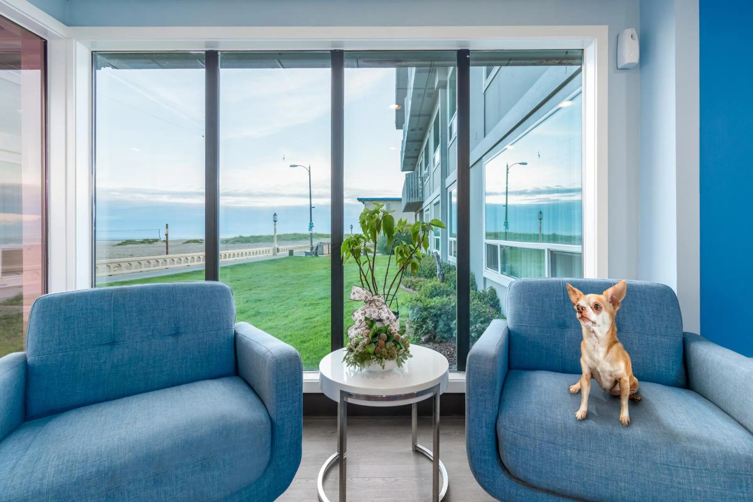 Seating area in Seashore Inn on the Beach Seaside