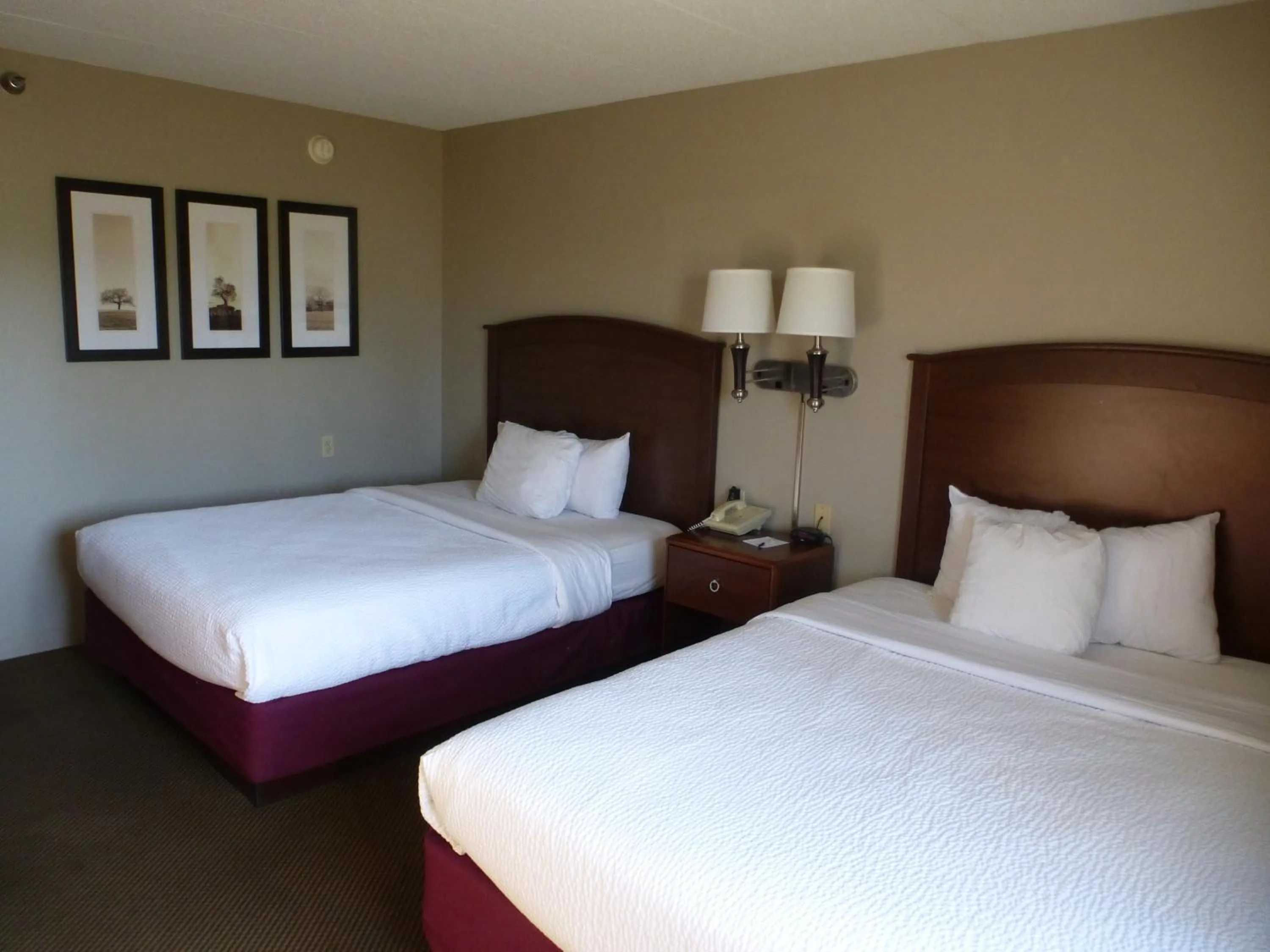 Bed in AmericInn by Wyndham Mitchell