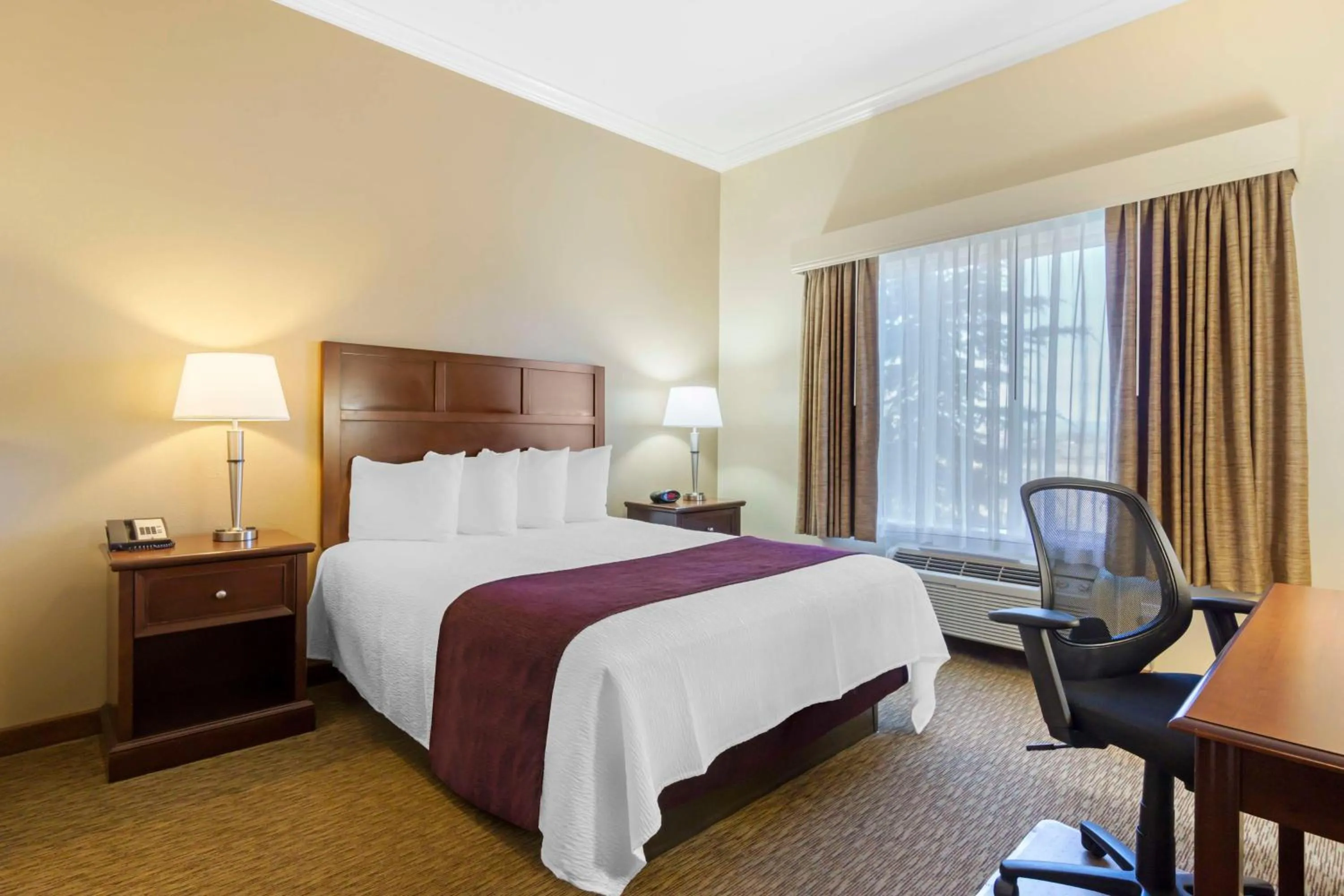 Queen Room with Bathtub - Disability Access in Best Western Plus Grapevine Inn