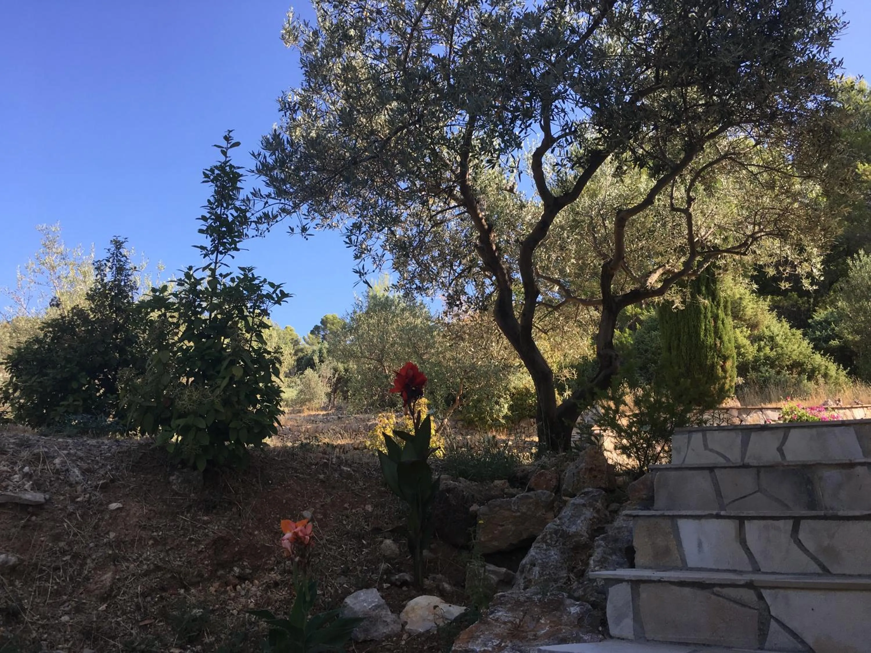 Property building in Le Clos en Provence