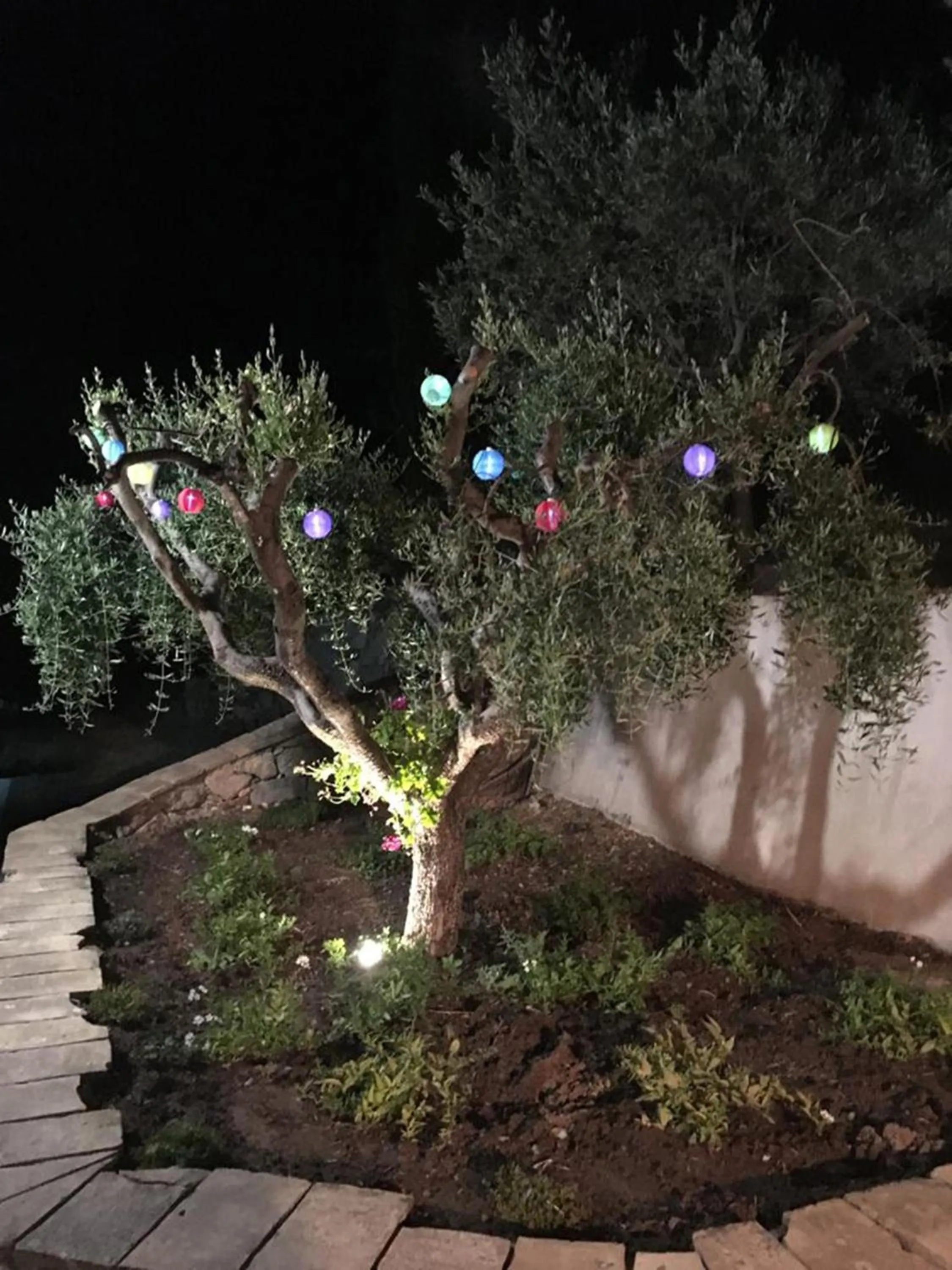Garden view in Le Clos en Provence