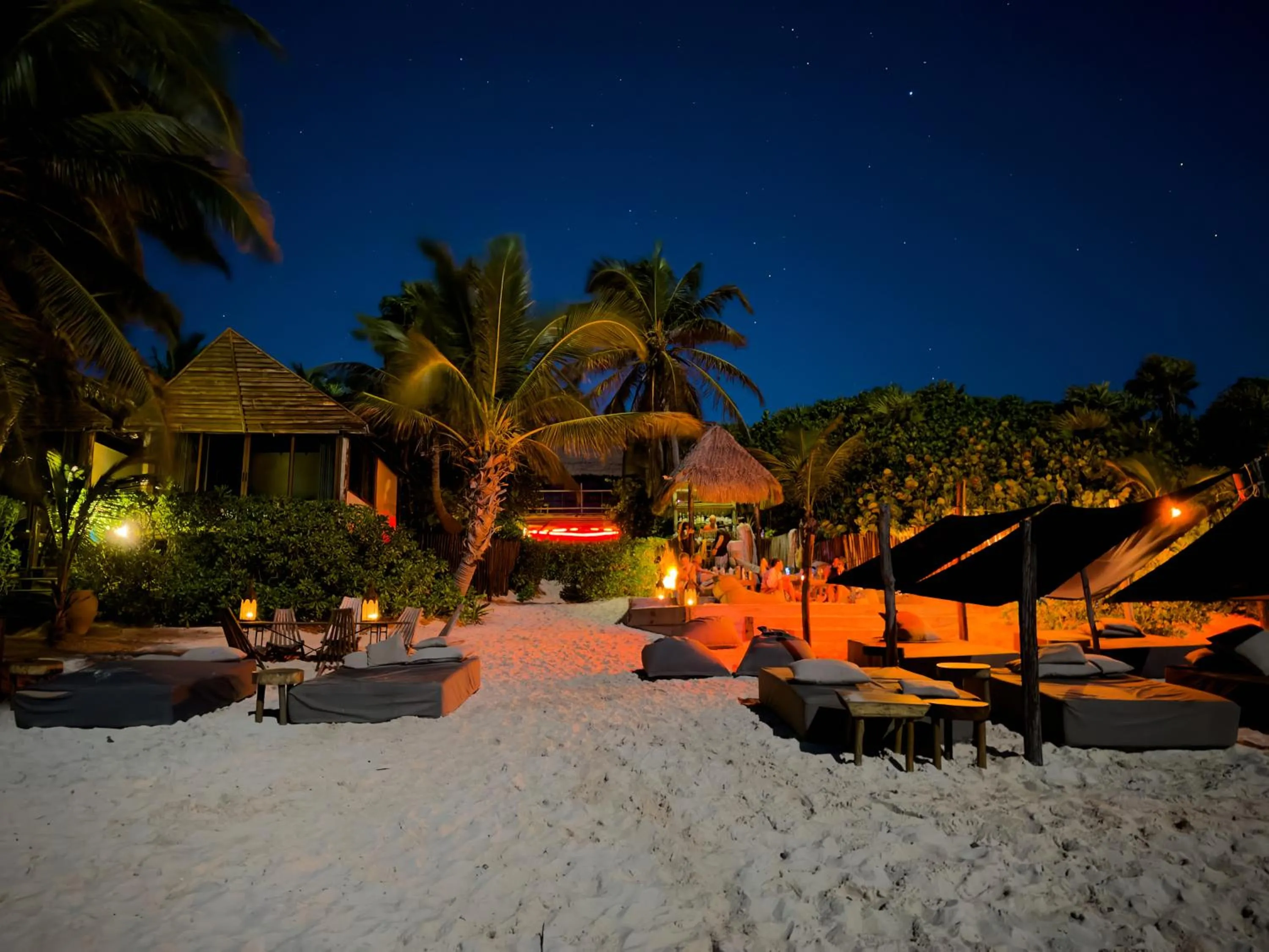 Natural landscape in Libelula Tulum Beachfront Hotel
