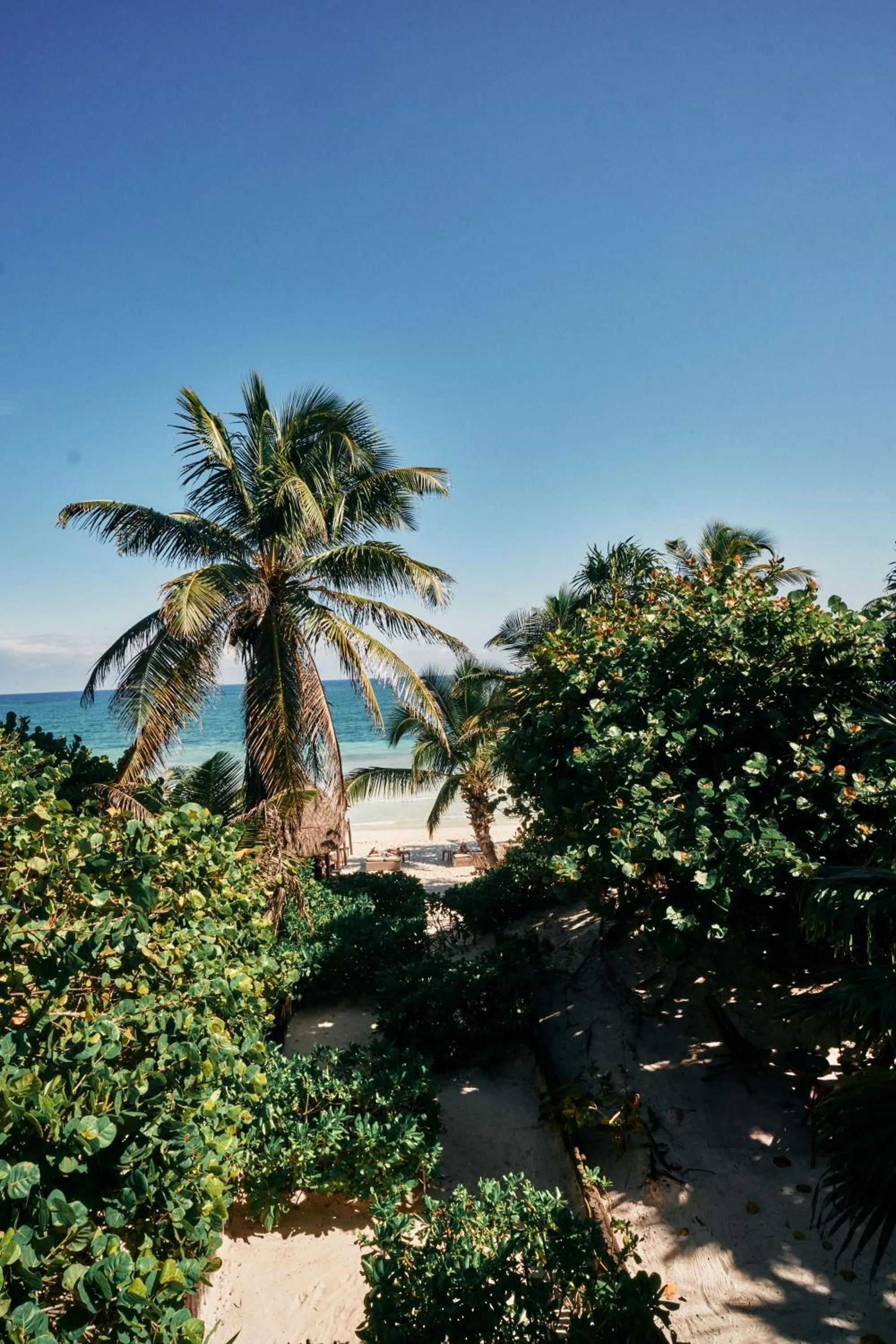 Sea view in Libelula Tulum Beachfront Hotel