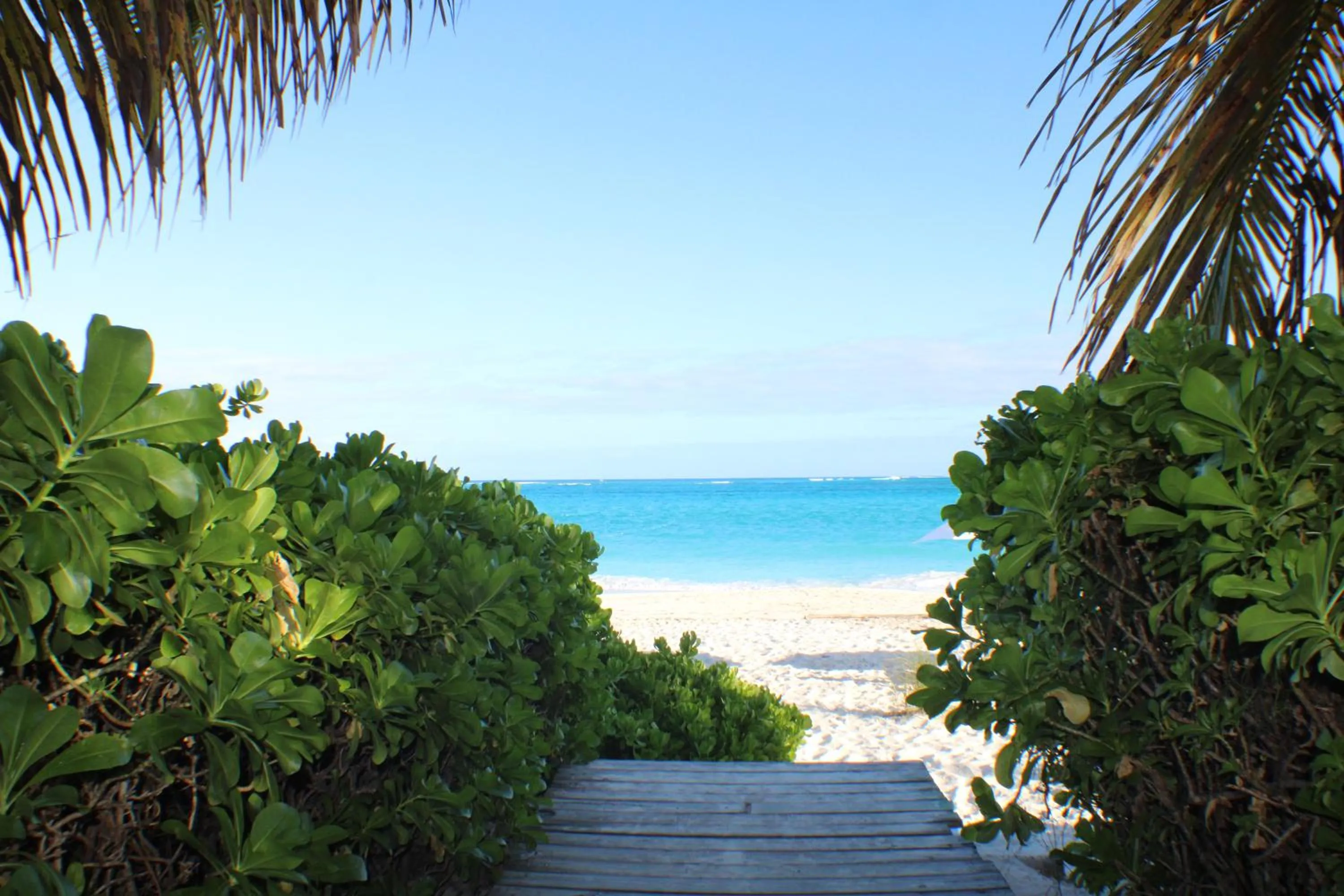 Beach in Grace Bay Suites
