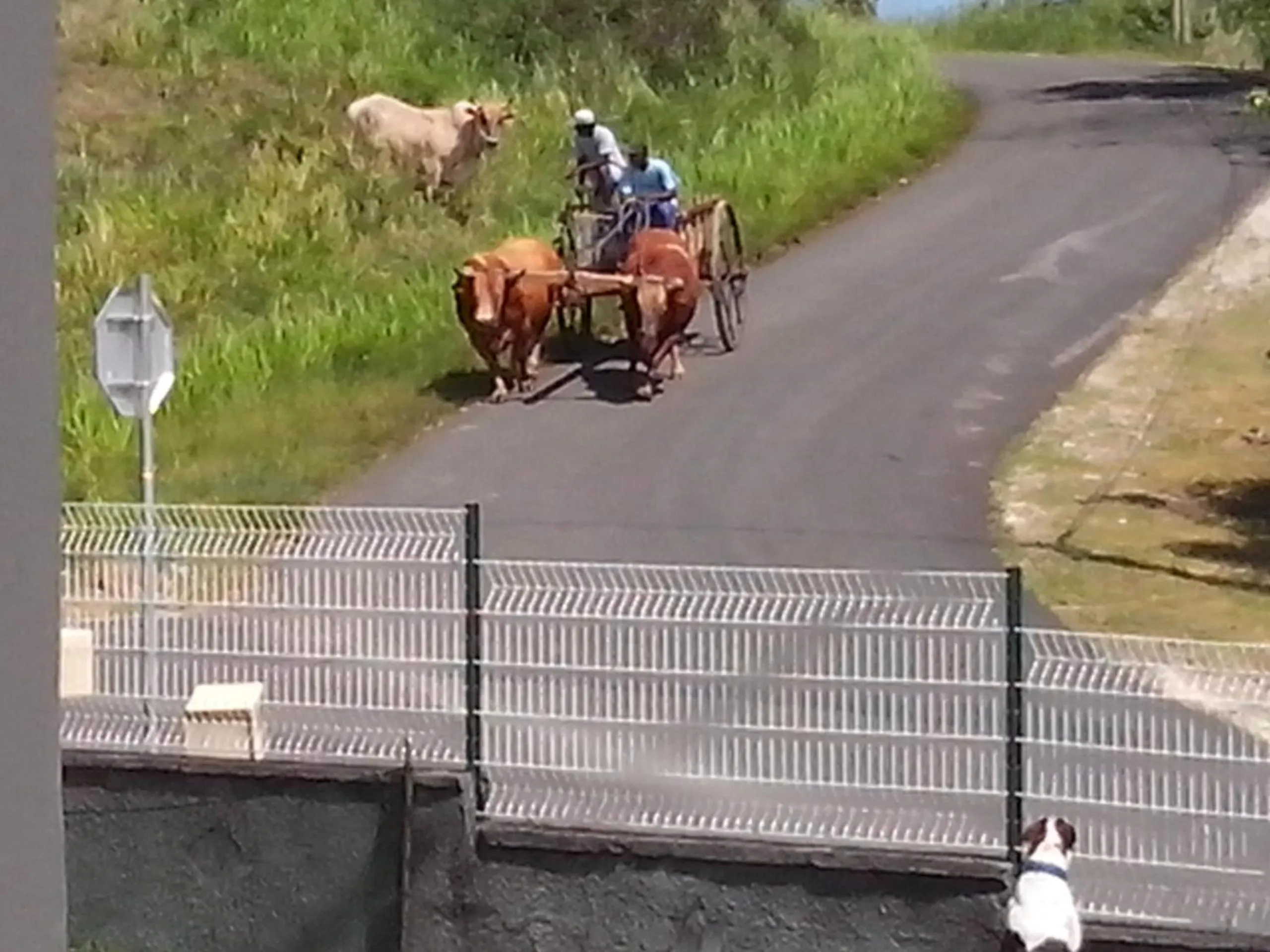 Chez Christian et Lydia