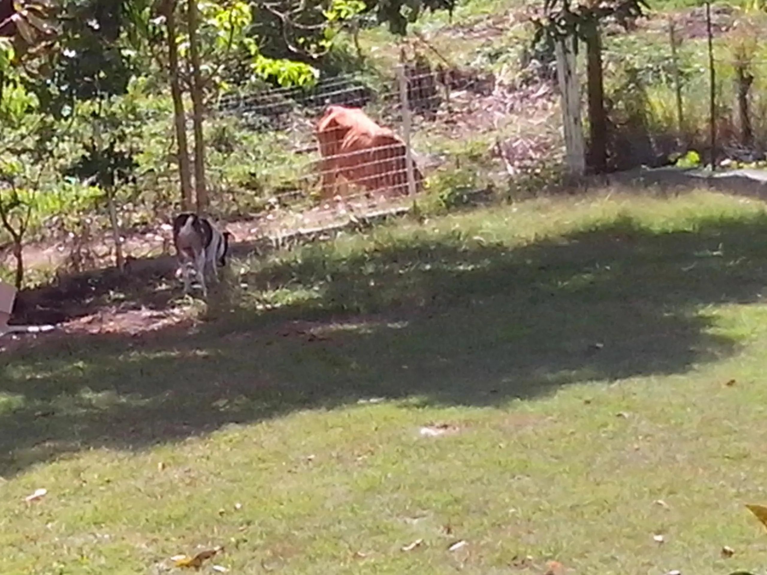 Chez Christian et Lydia