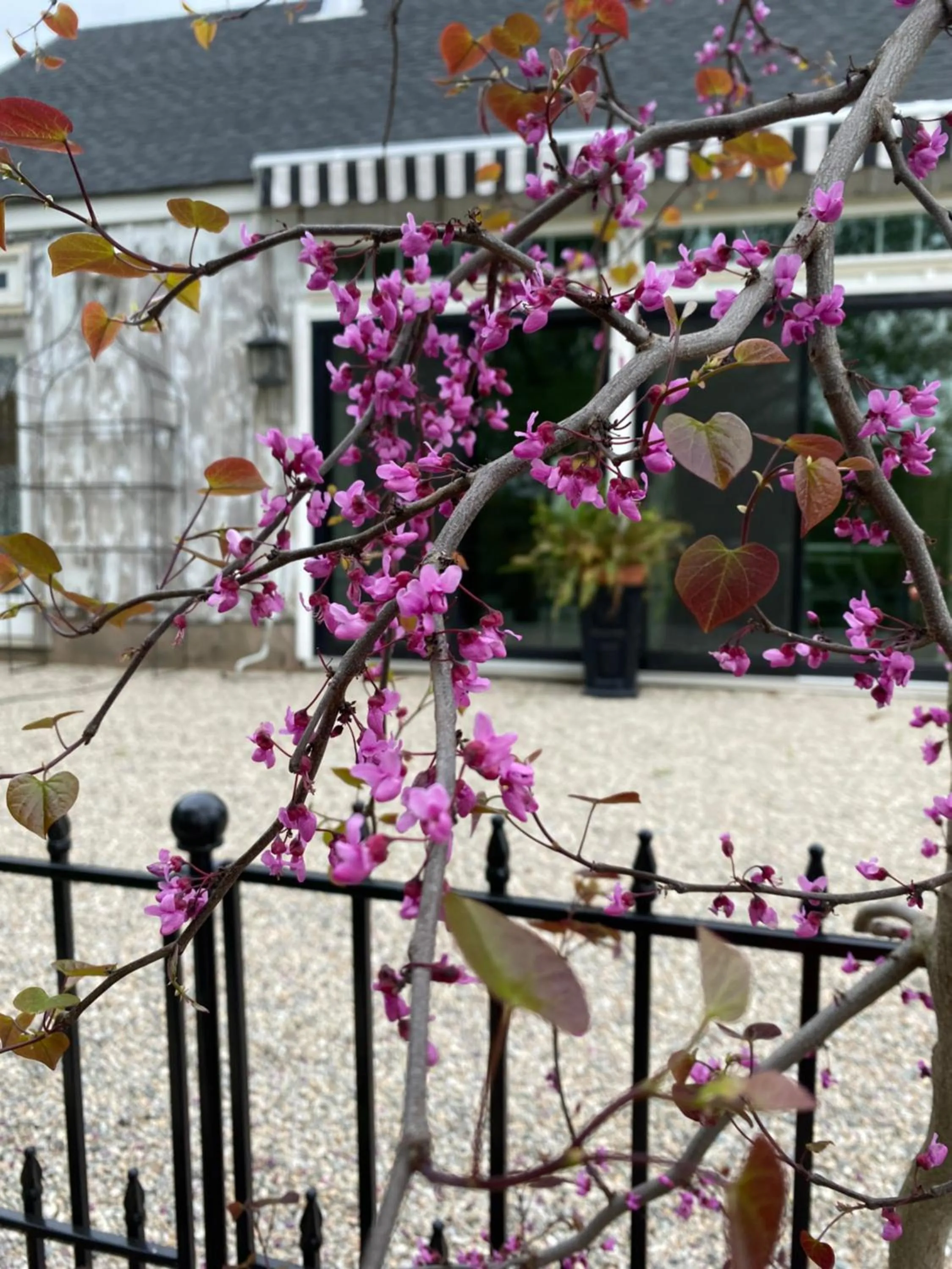 The Connecticut River Valley Inn Hartford South/Glastonbury