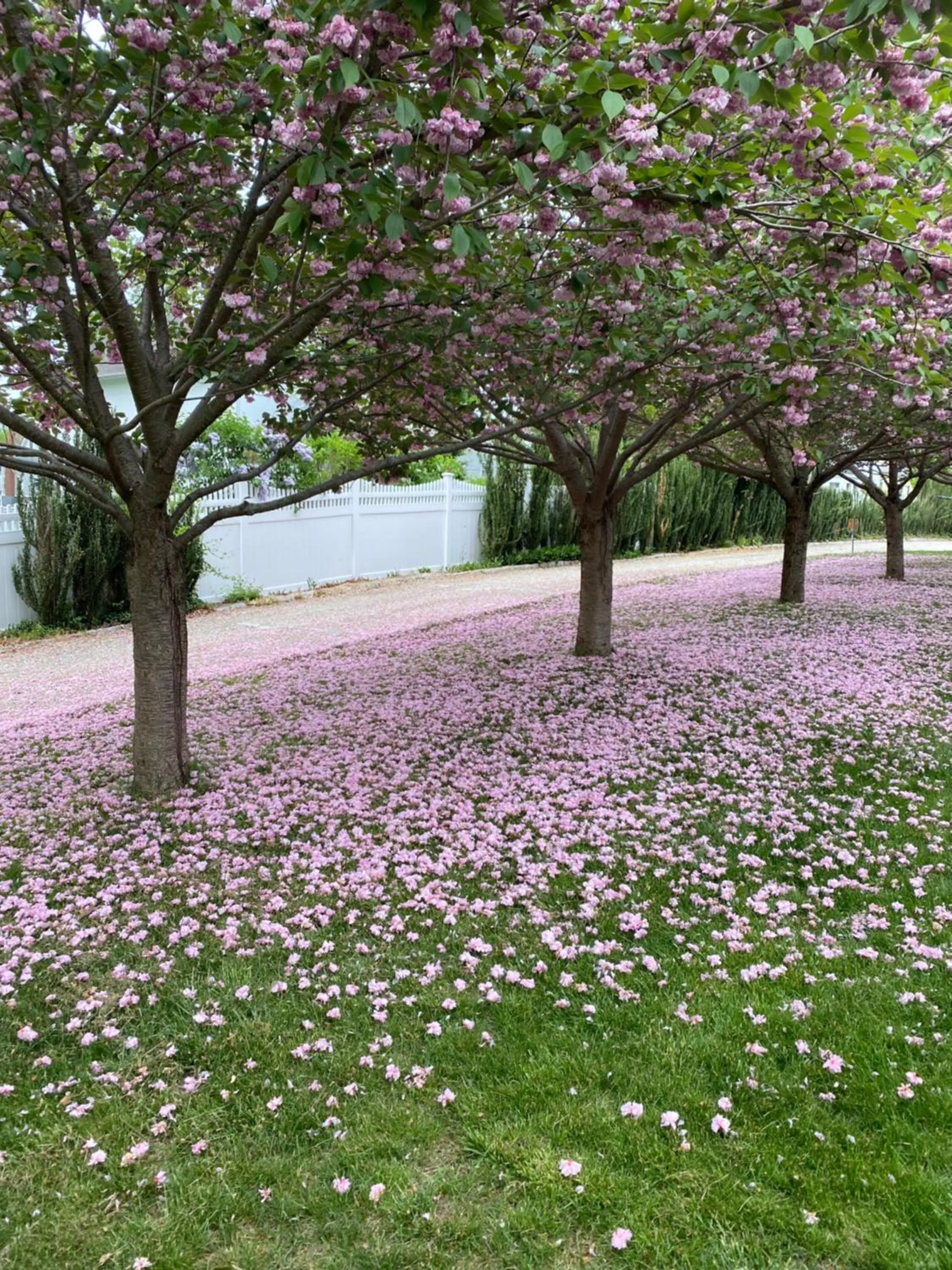 The Connecticut River Valley Inn Hartford South/Glastonbury