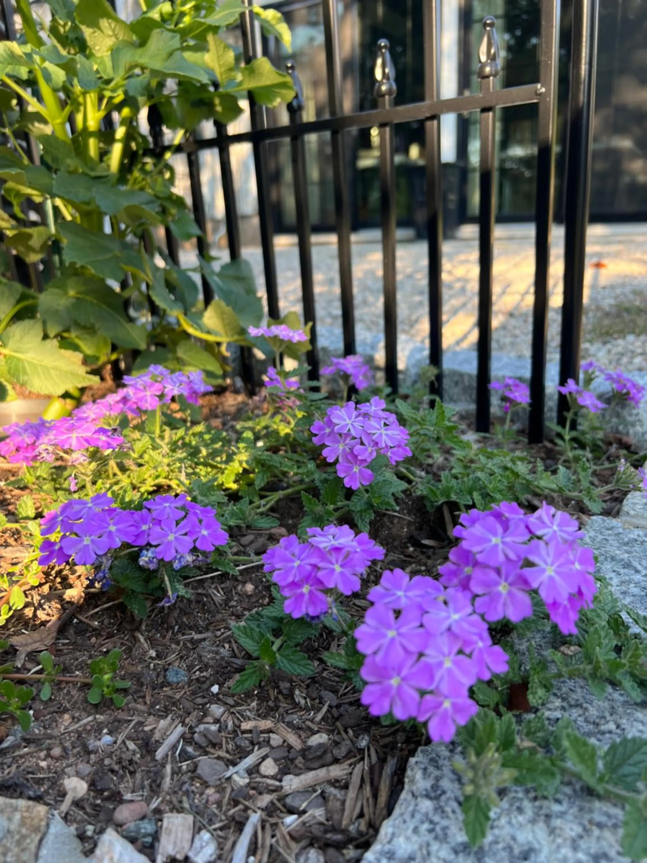 The Connecticut River Valley Inn Hartford South/Glastonbury