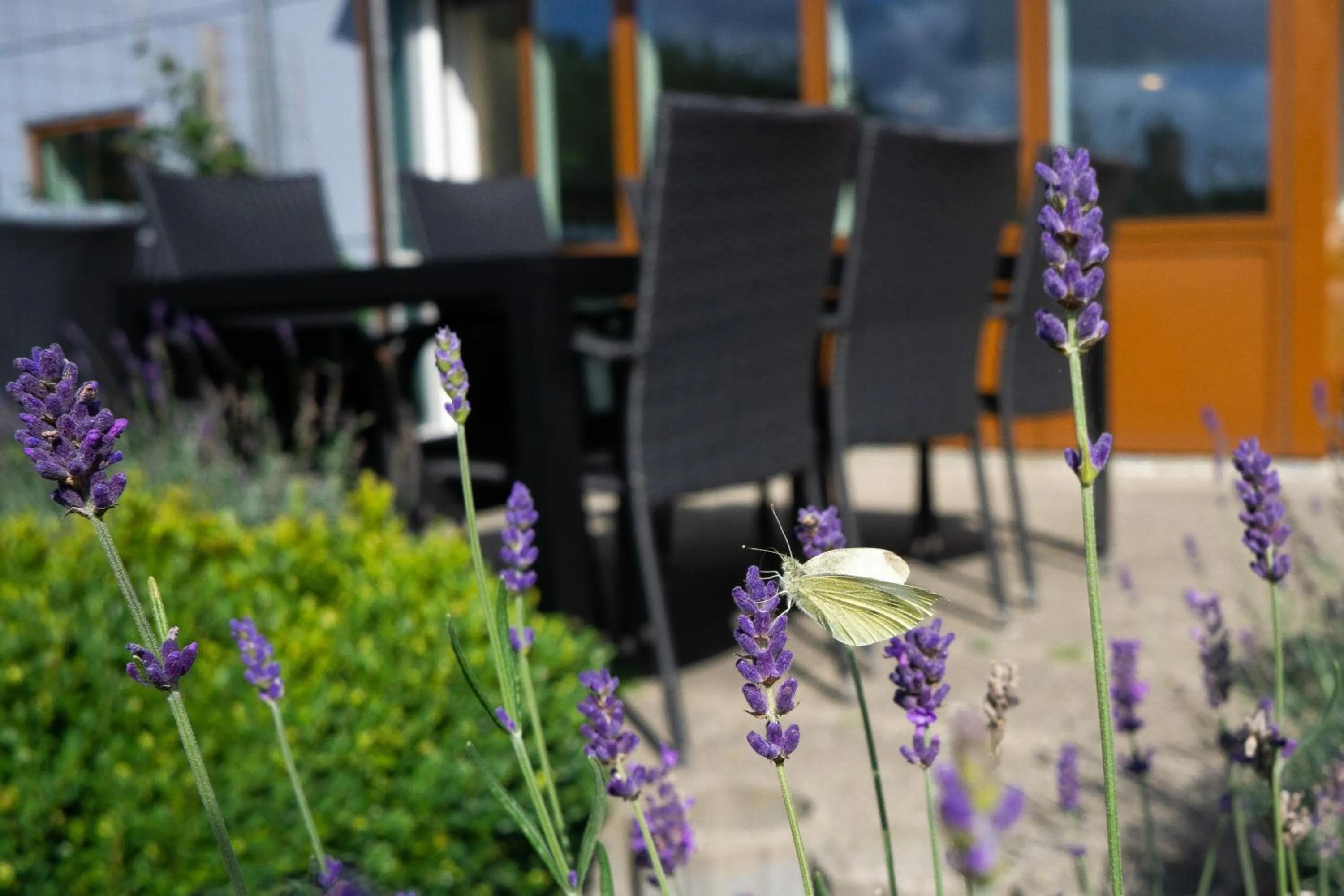 Garden in Feriehus Thy - I hjertet af Thy