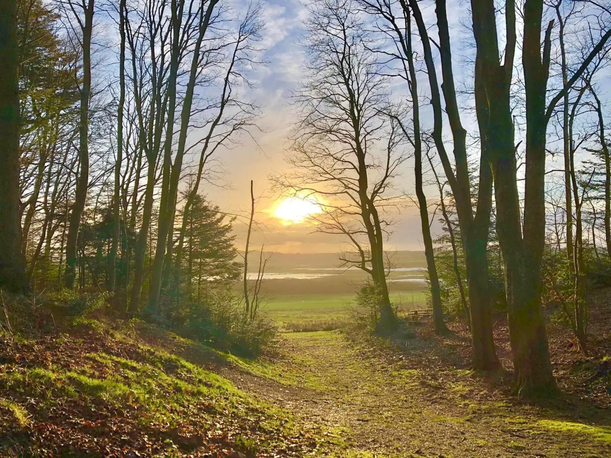 Spring in Feriehus Thy - I hjertet af Thy