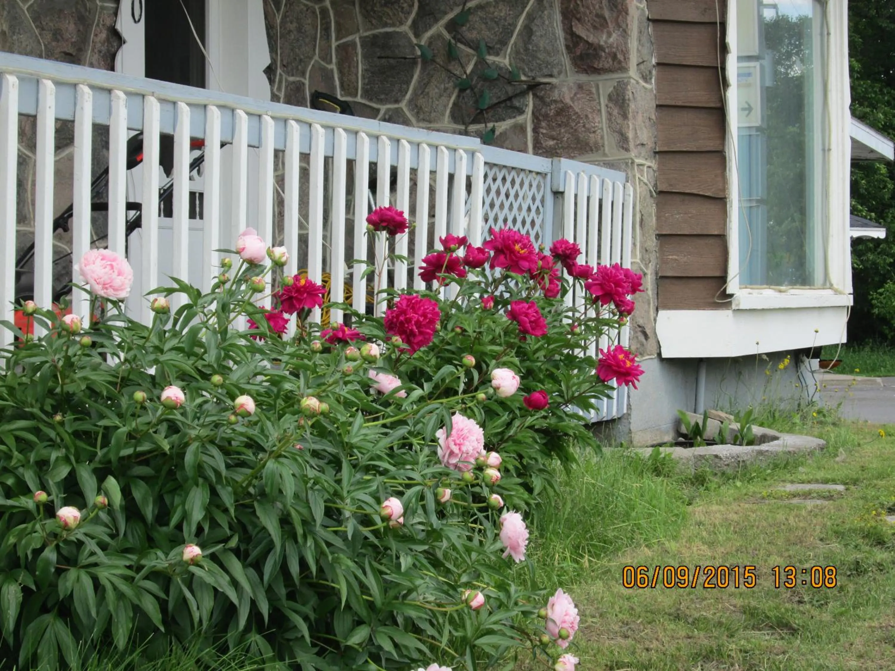 Decorative detail in Motel Jann