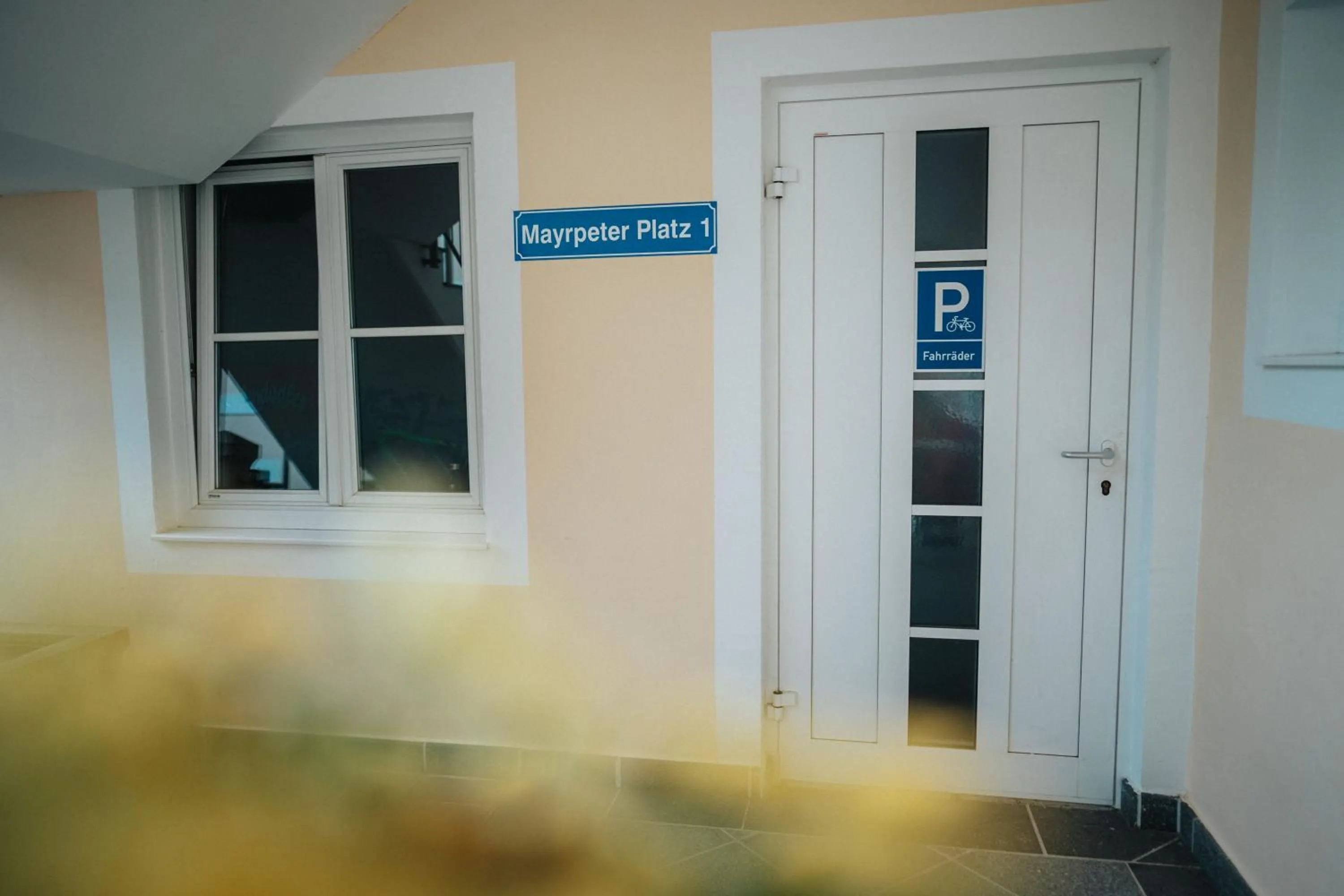 Cycling in Hotel Leo