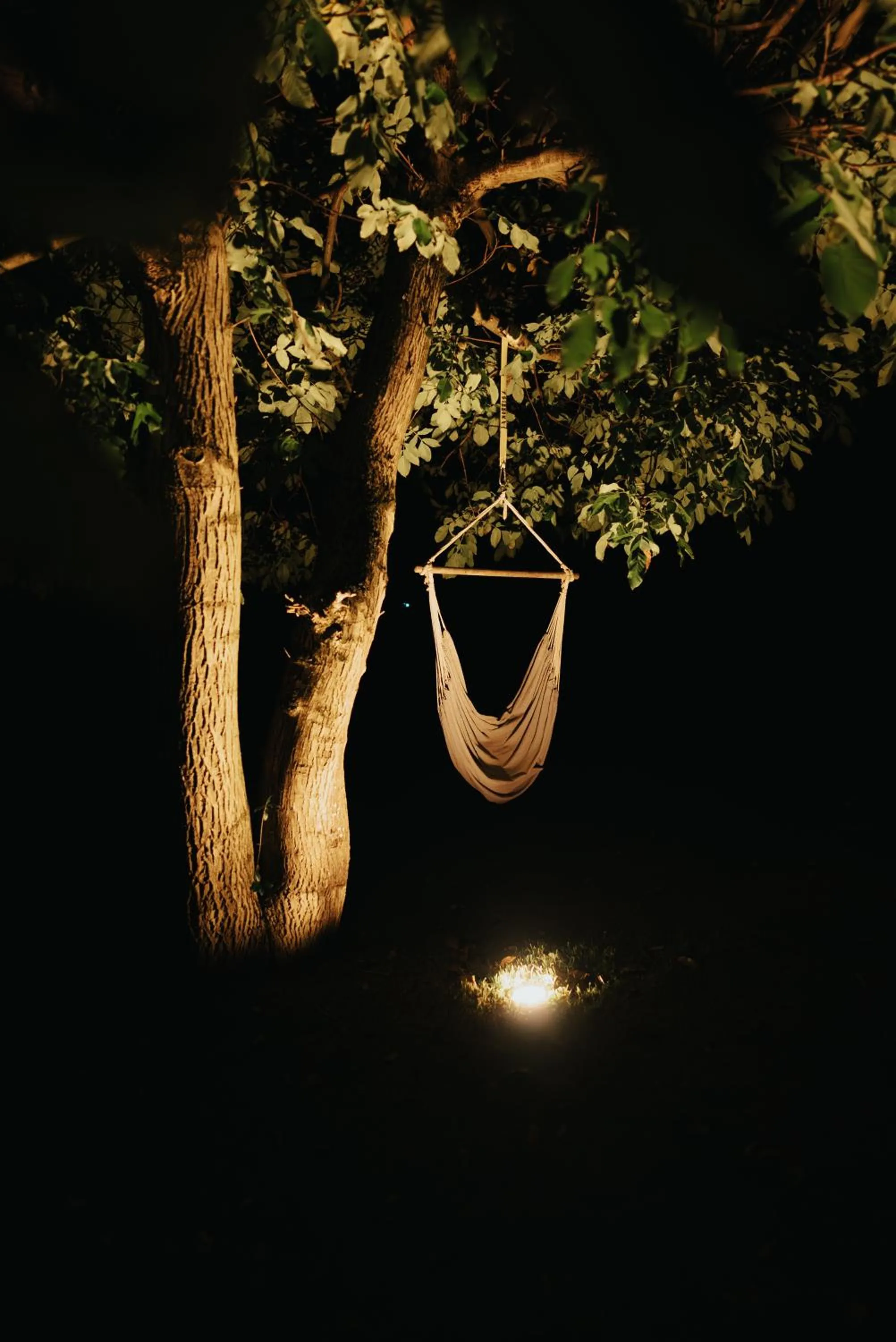 Garden view in Hotel Leo