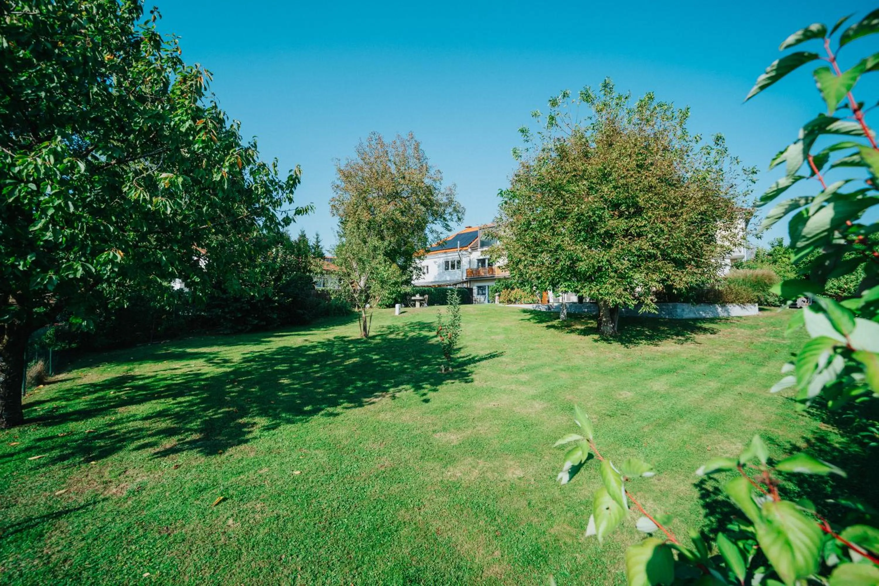 Garden view in Hotel Leo