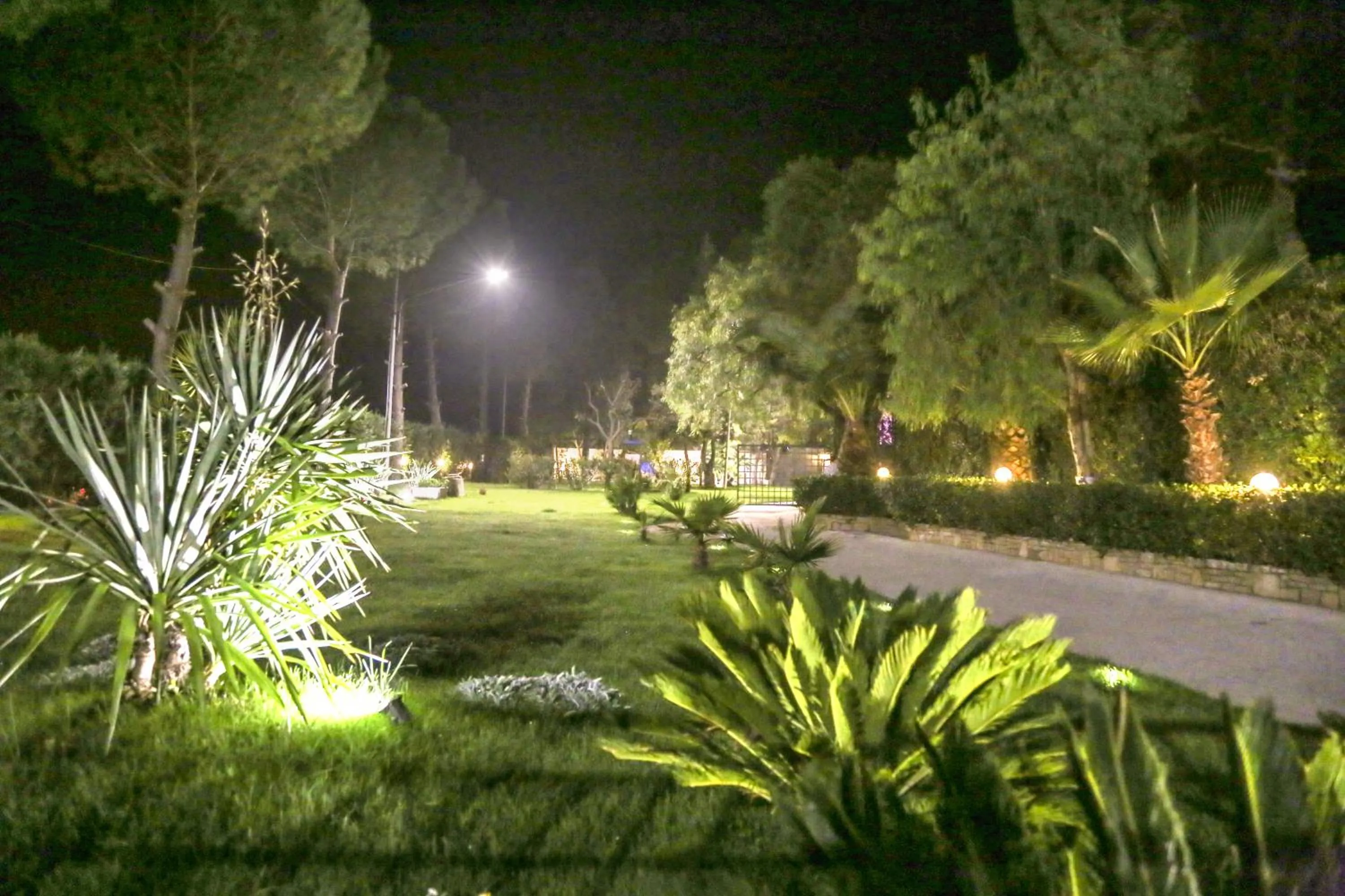 Garden in LA VILLA DEL CONTE