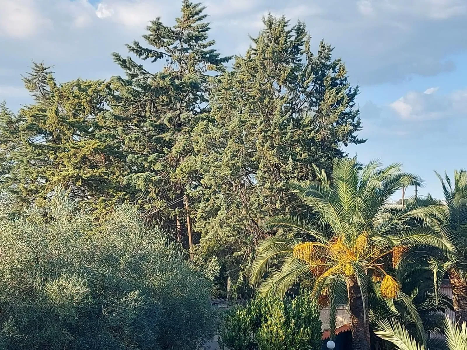 Bird's eye view in LA VILLA DEL CONTE