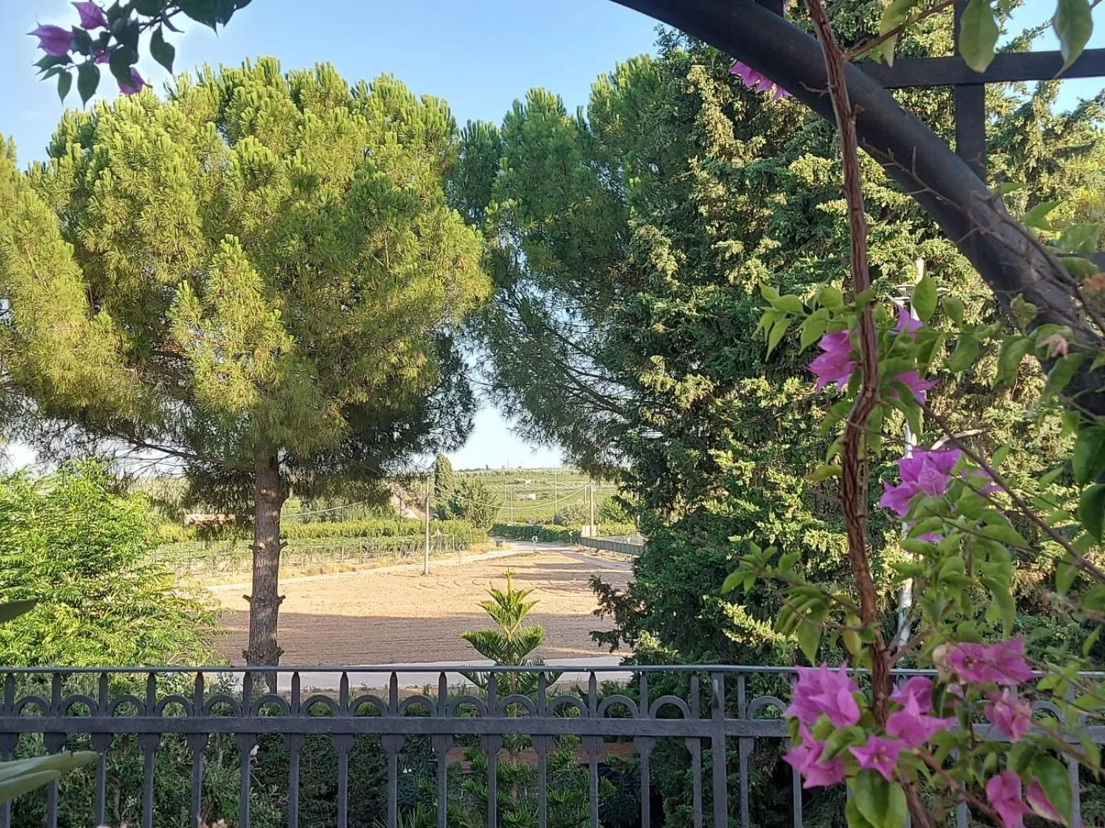 Photo of the whole room in LA VILLA DEL CONTE