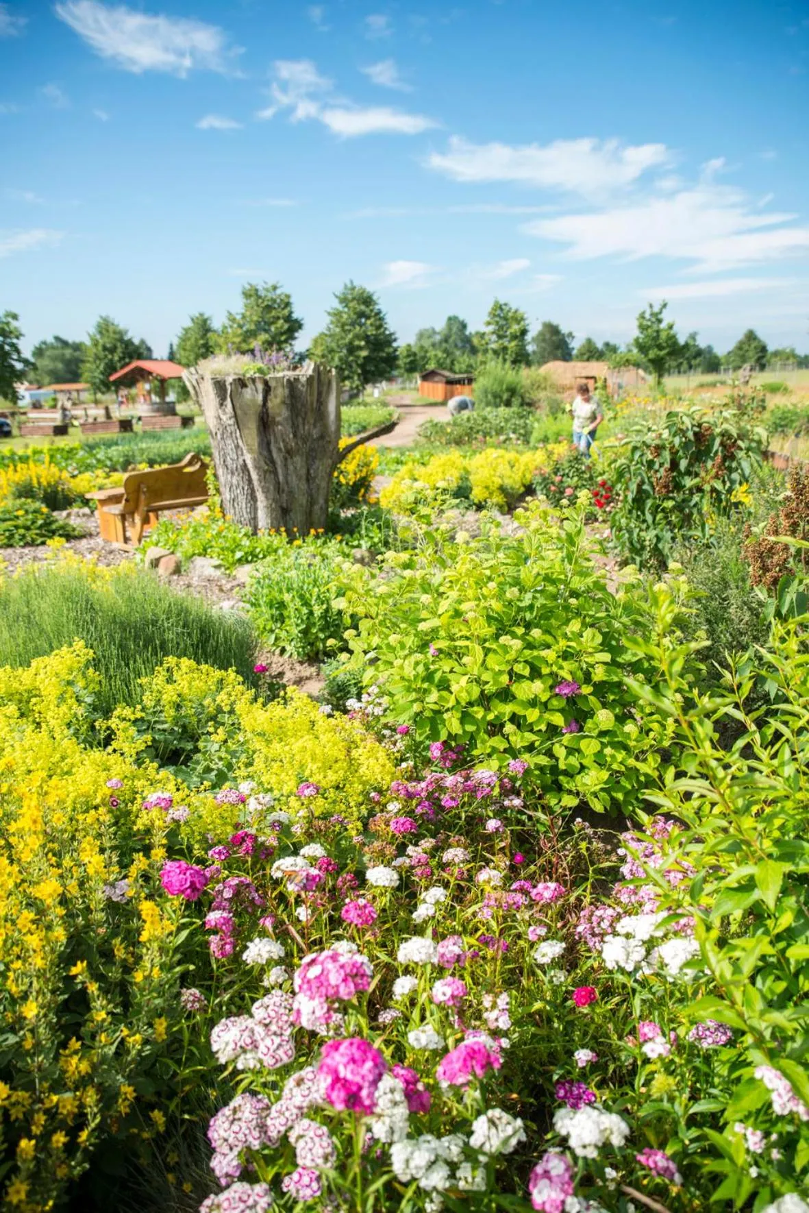 Natural landscape in Golchener Hof - Familienhotel & Bauernhofurlaub in Mecklenburg