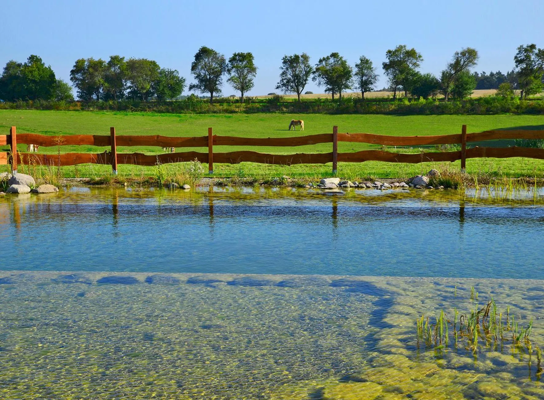 Swimming pool in Golchener Hof - Familienhotel & Bauernhofurlaub in Mecklenburg