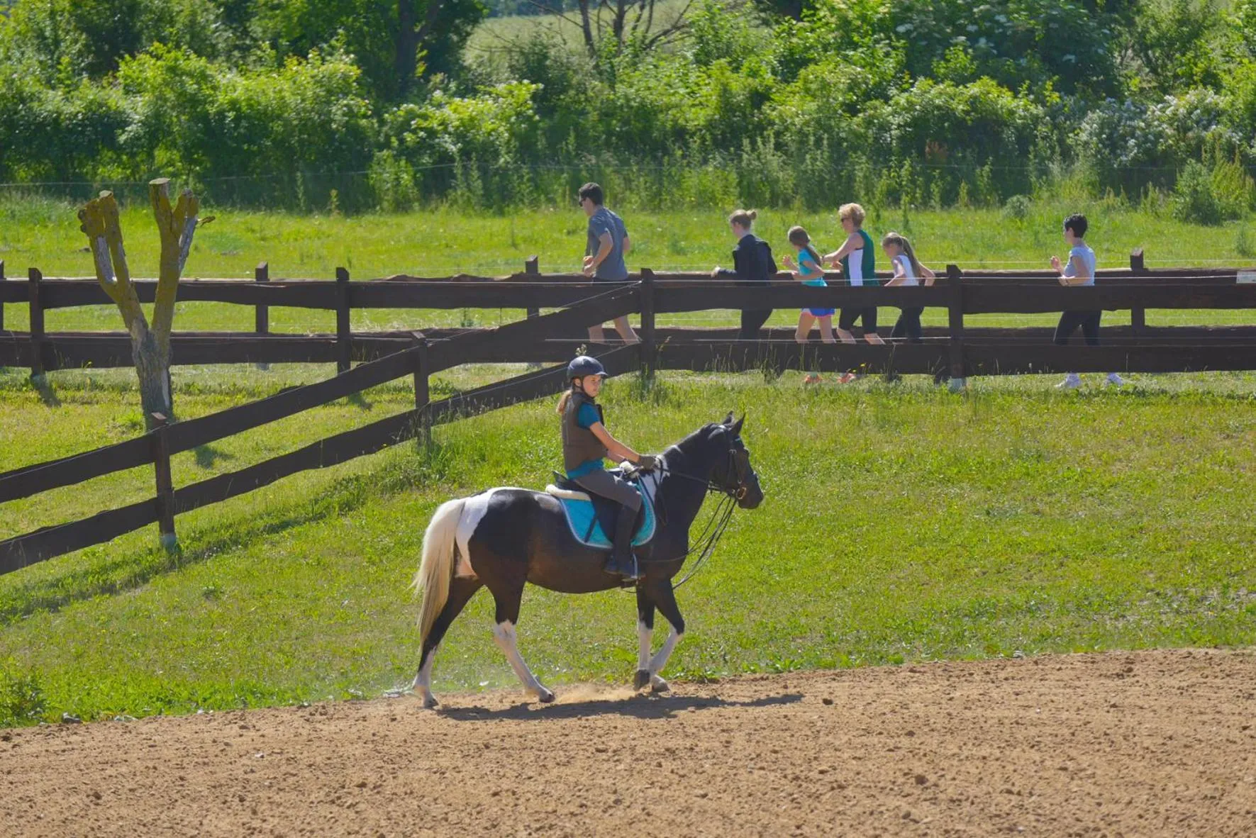 Animals in Golchener Hof - Familienhotel & Bauernhofurlaub in Mecklenburg