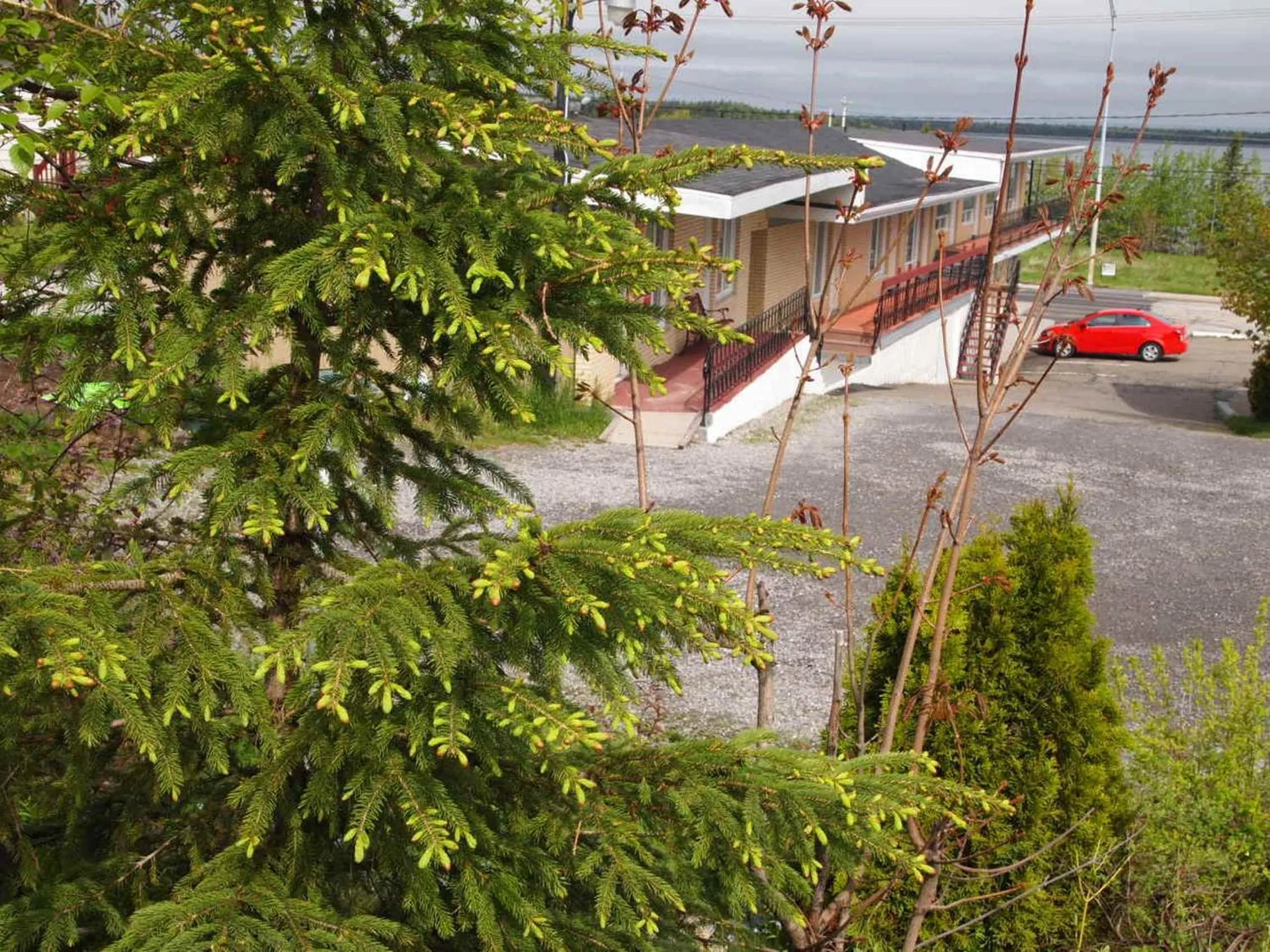 Area and facilities in Motel Lyse