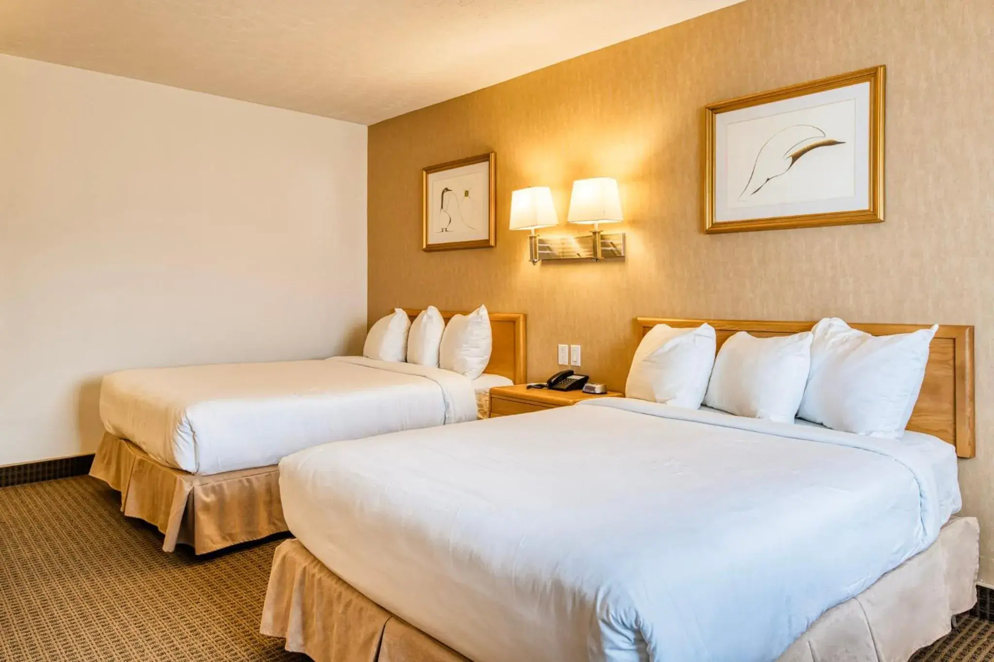 Standard Double Room in Motel Mistral Standard Double Room in Motel Mistral