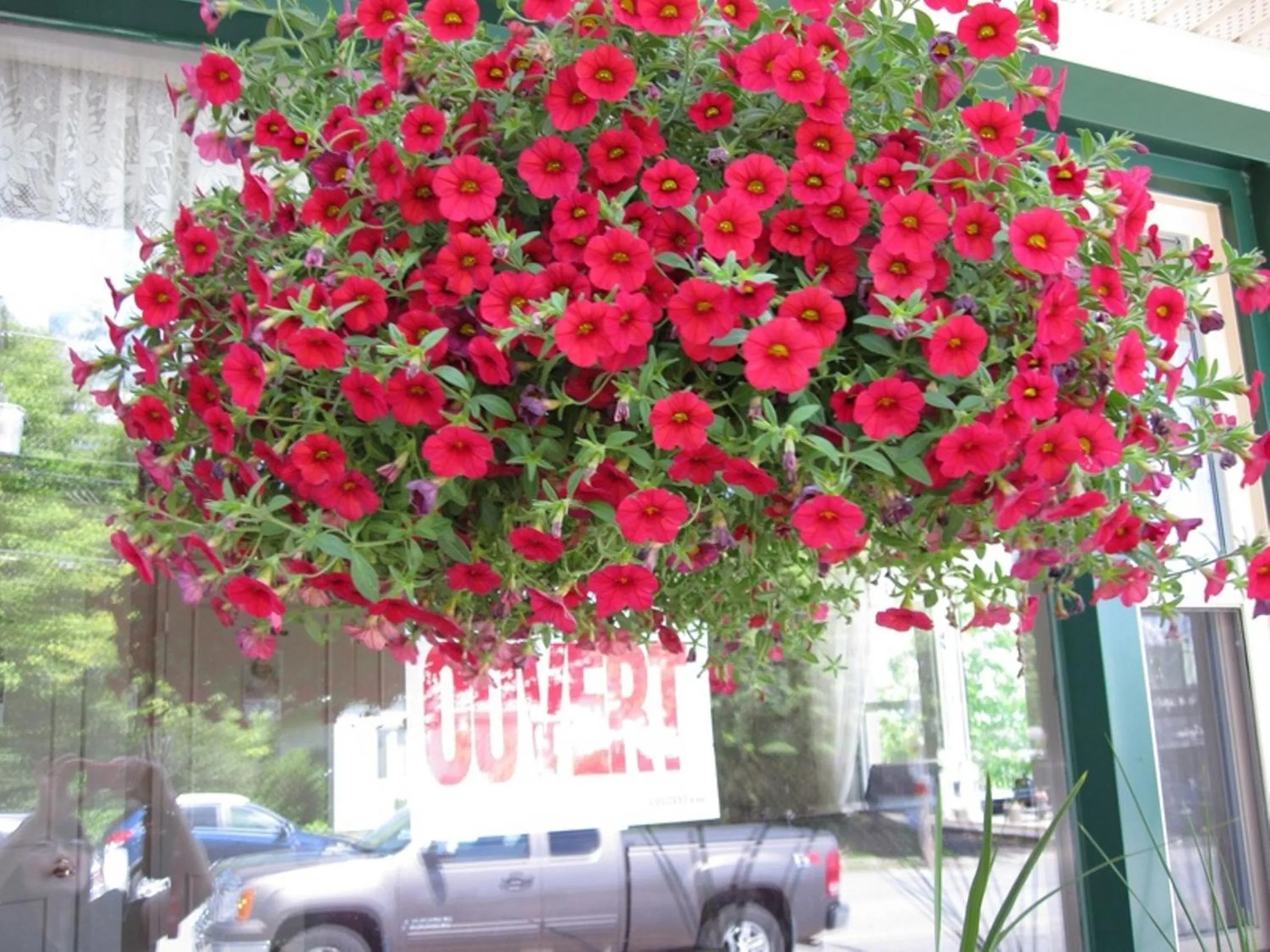 Summer in Motel Saint-Hilaire