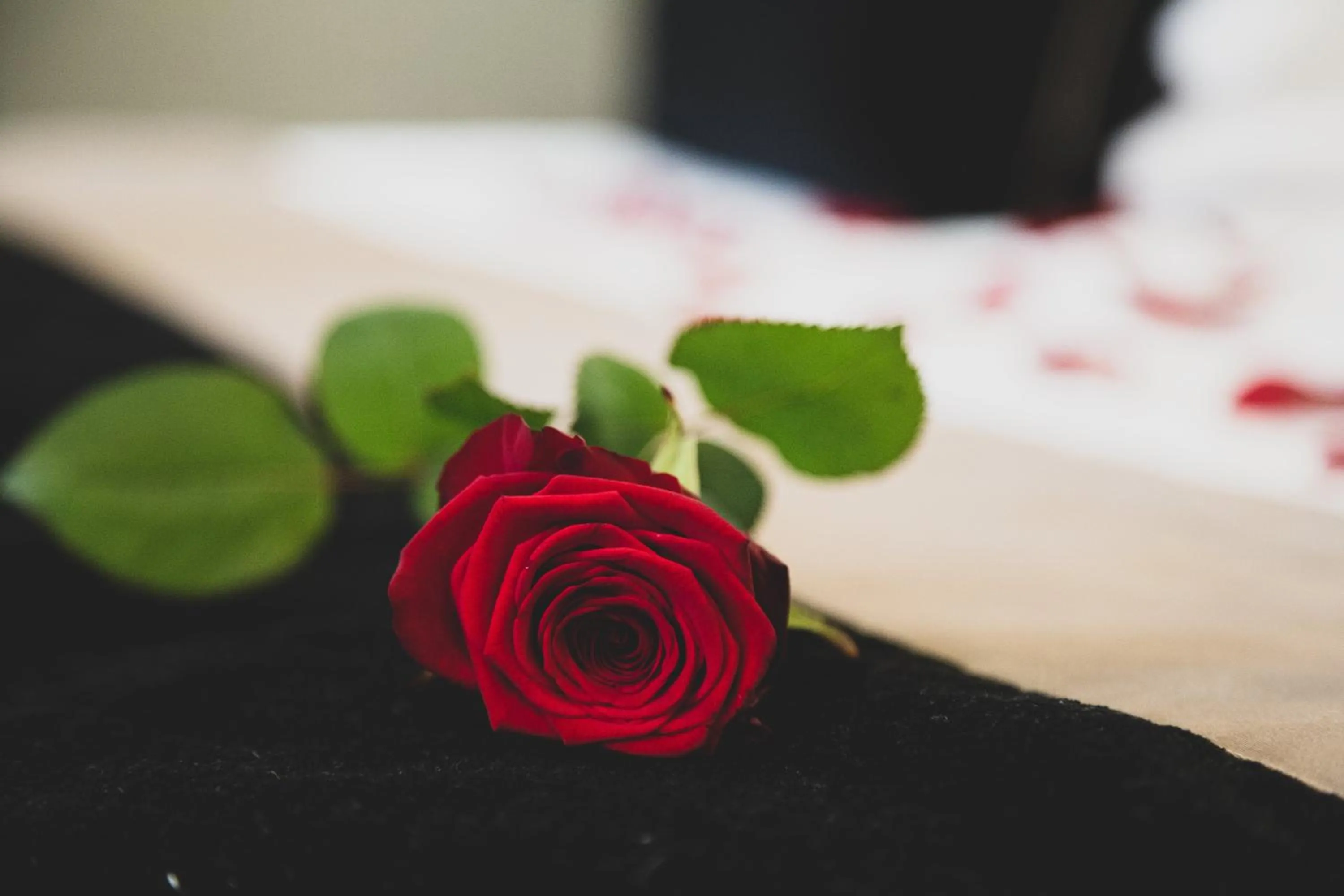 Decorative detail in Jehan De Beauce - Les Collectionneurs