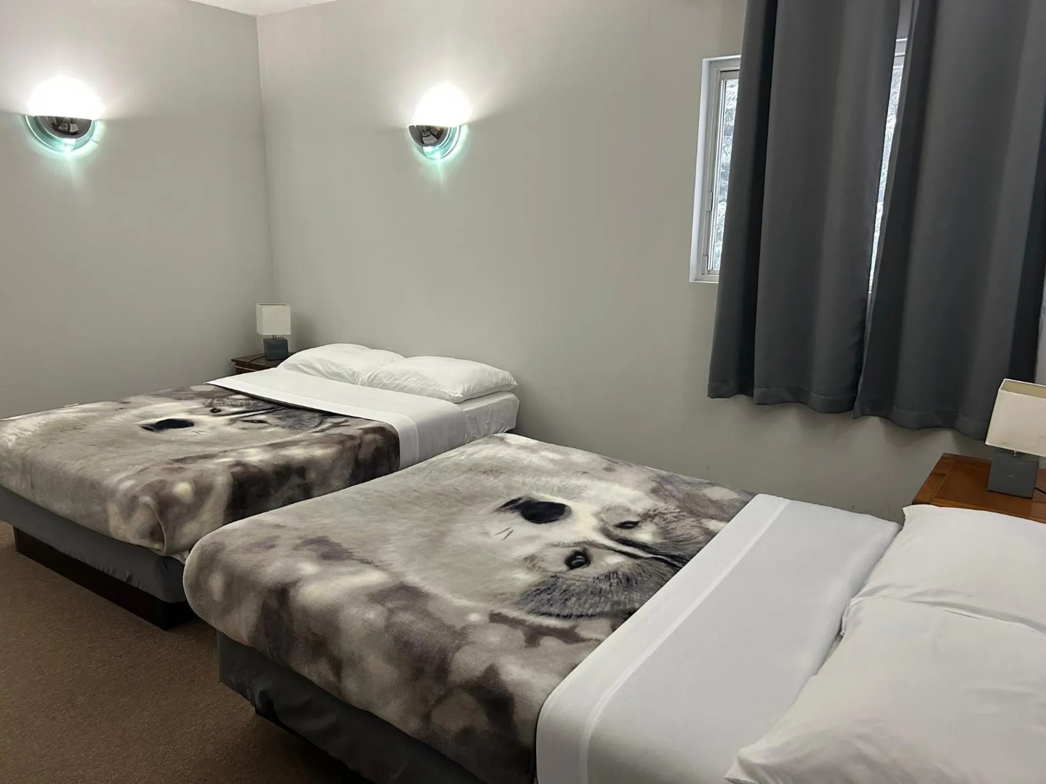 Bedroom, Bed in Mountain View Motel