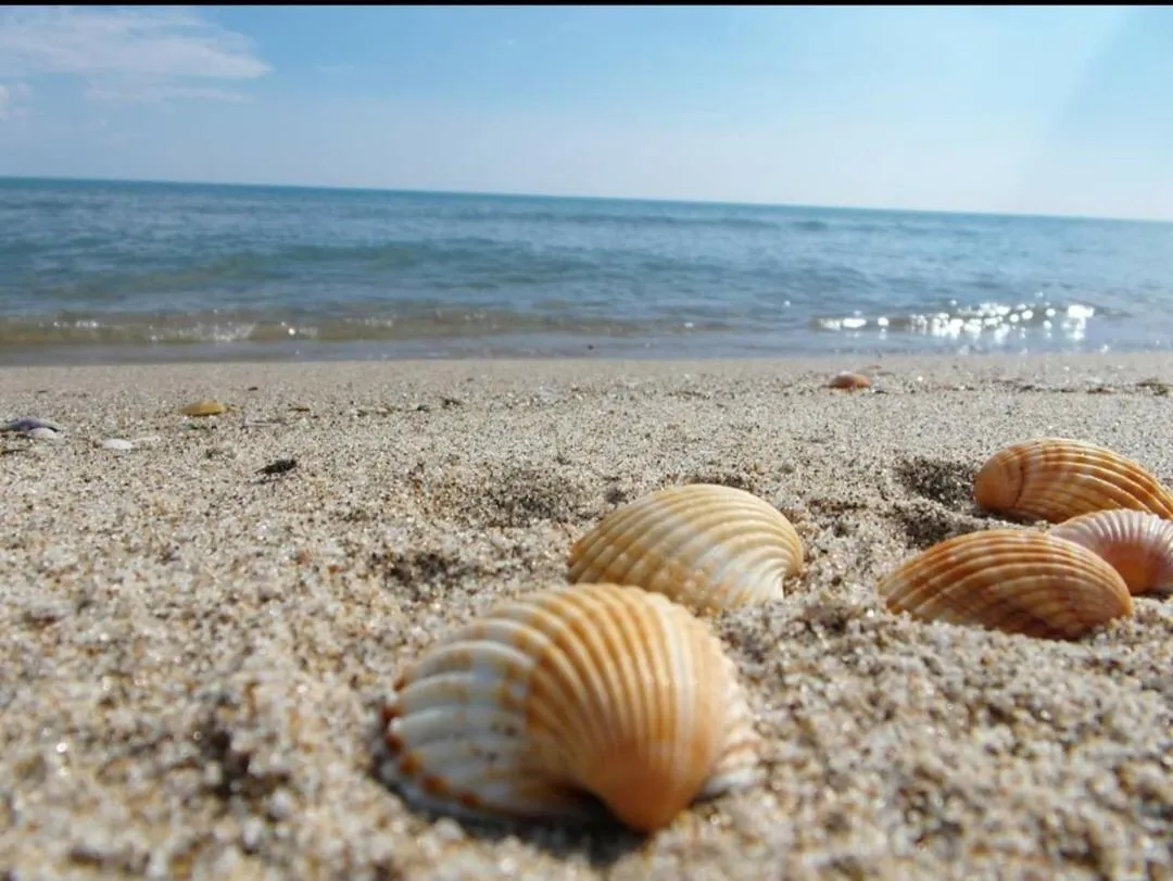 Beach in IL CUCCO B&B