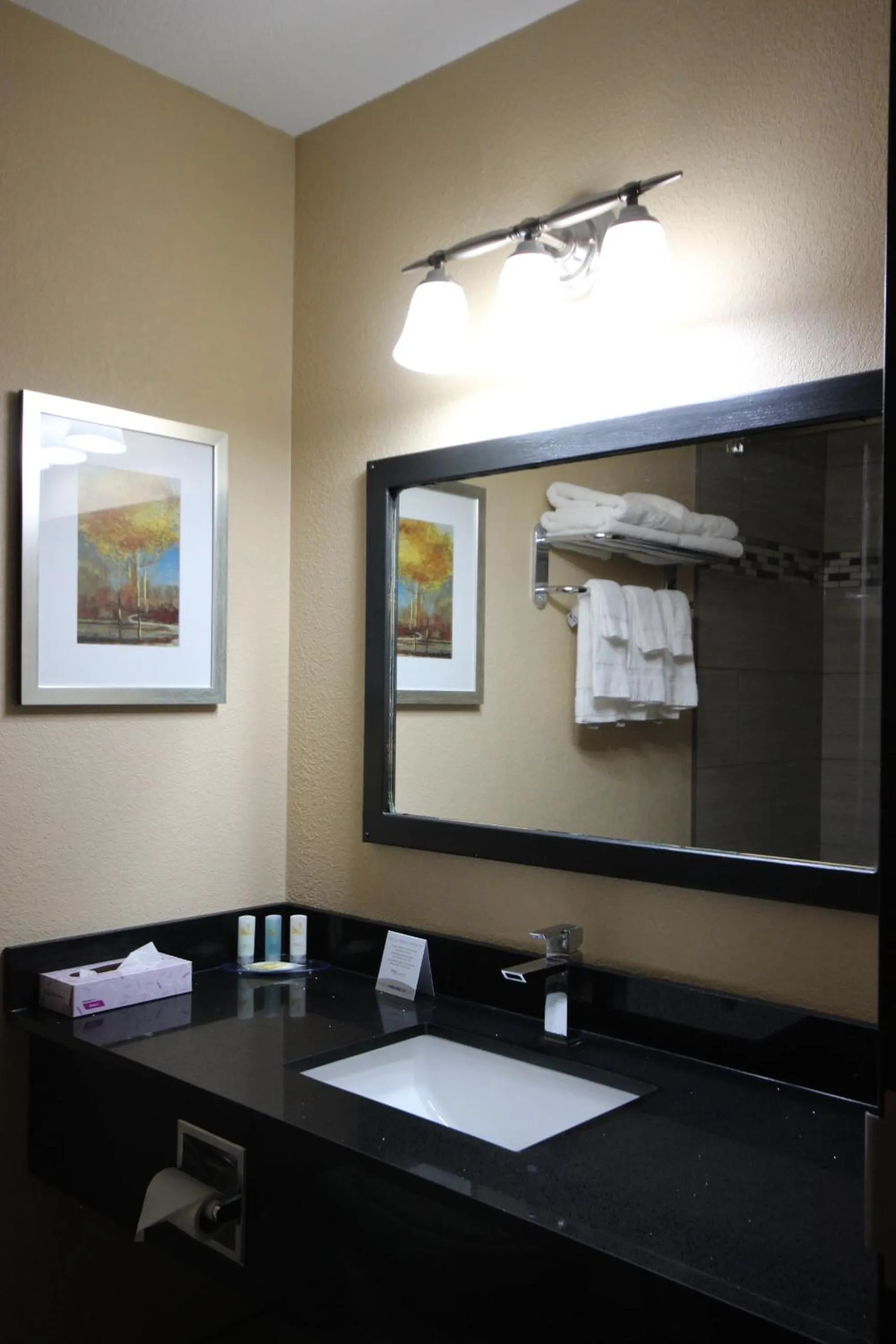 Bathroom in Quality Inn