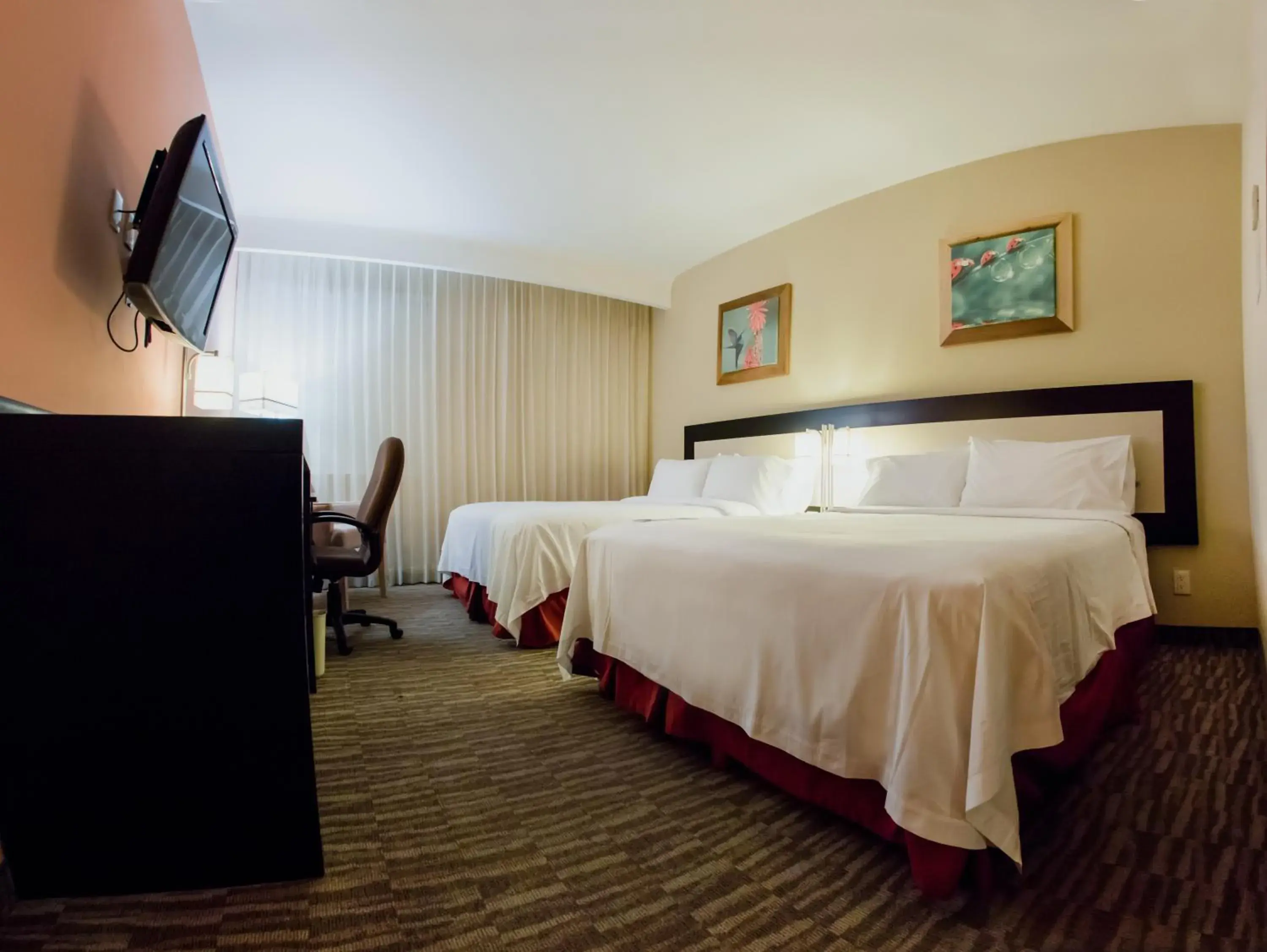 Queen Room with Two Queen Beds - Disability Access in Excellence Express & Suites Queen Room with Two Queen Beds - Disability Access in Excellence Express & Suites