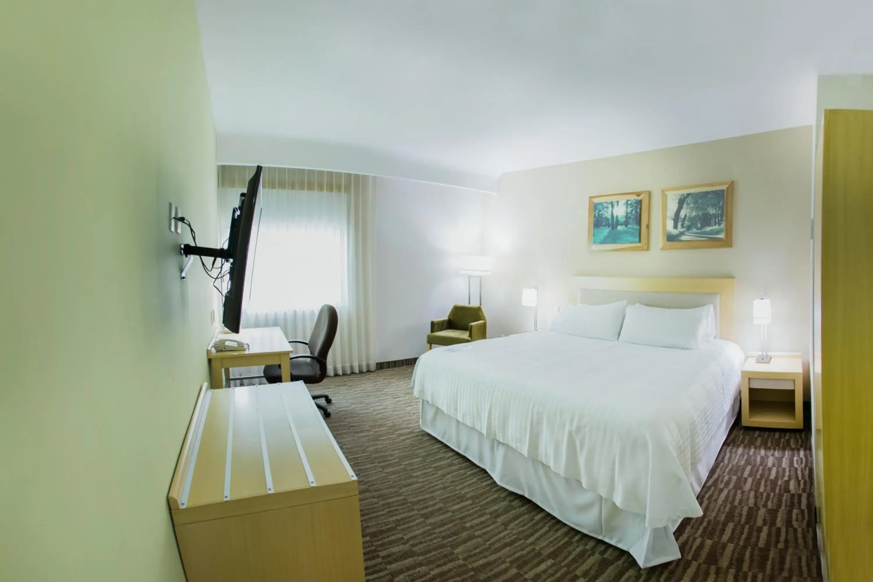 King Room with Roll-In Shower - Disability Access in Excellence Express & Suites King Room with Roll-In Shower - Disability Access in Excellence Express & Suites
