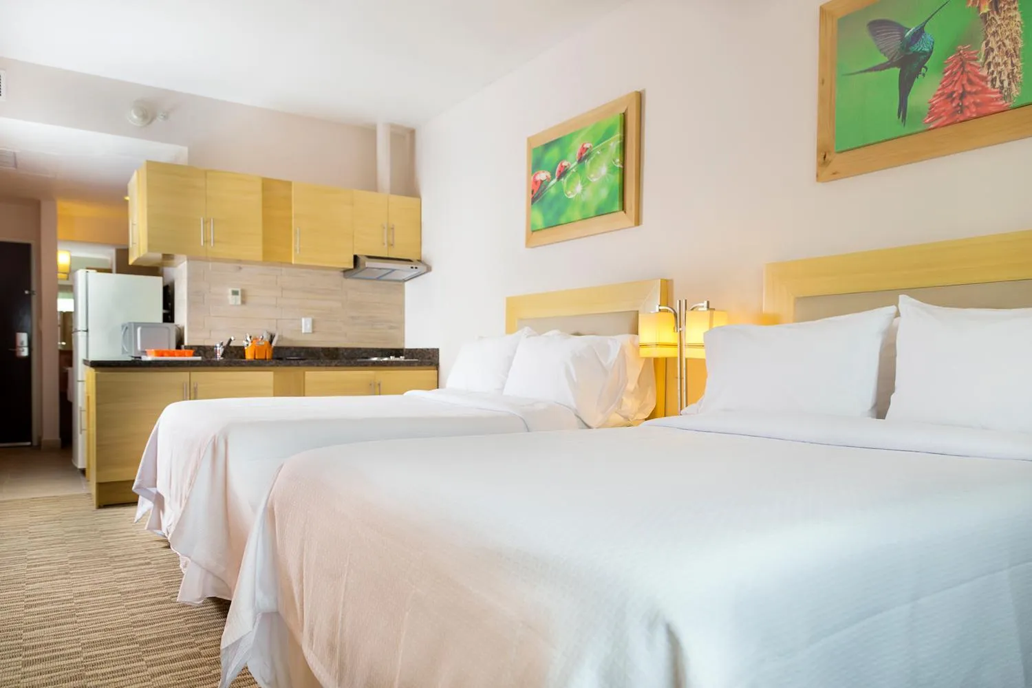 Photo of the whole room, Bed in Excellence Express & Suites