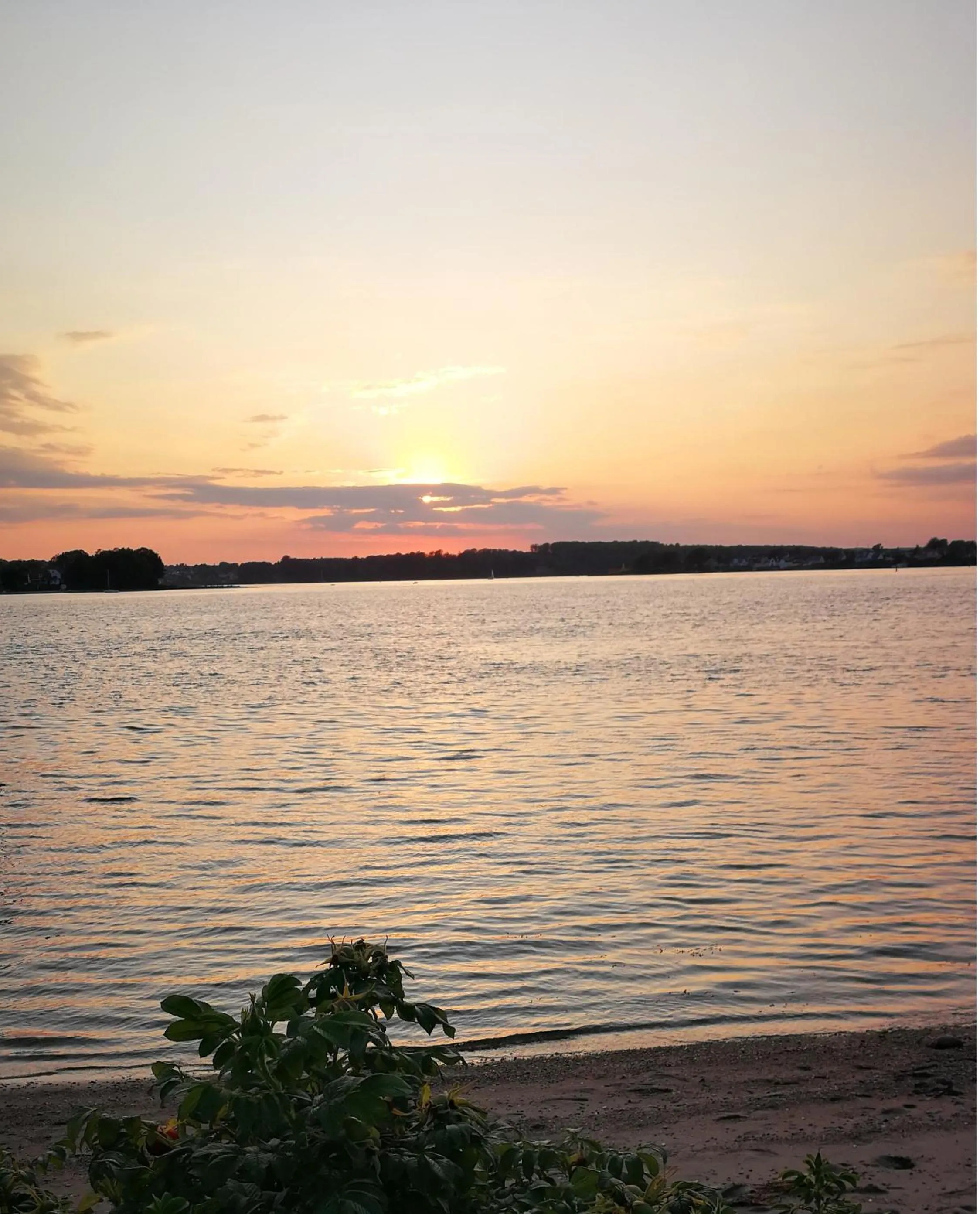 Natural landscape in Kastanievejens overnatning