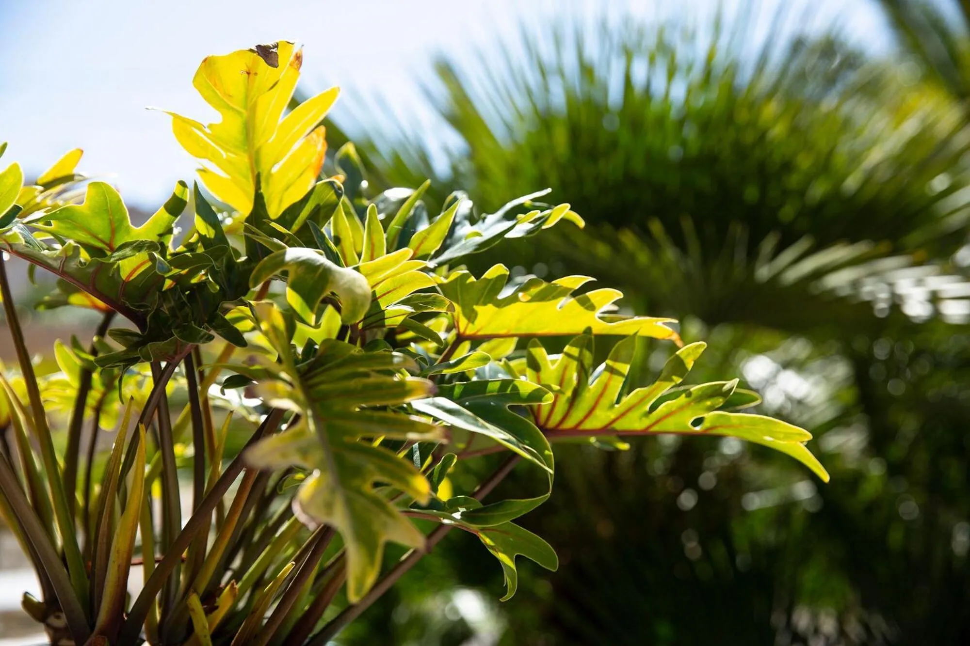 Property building in Hôtel Du Soleil